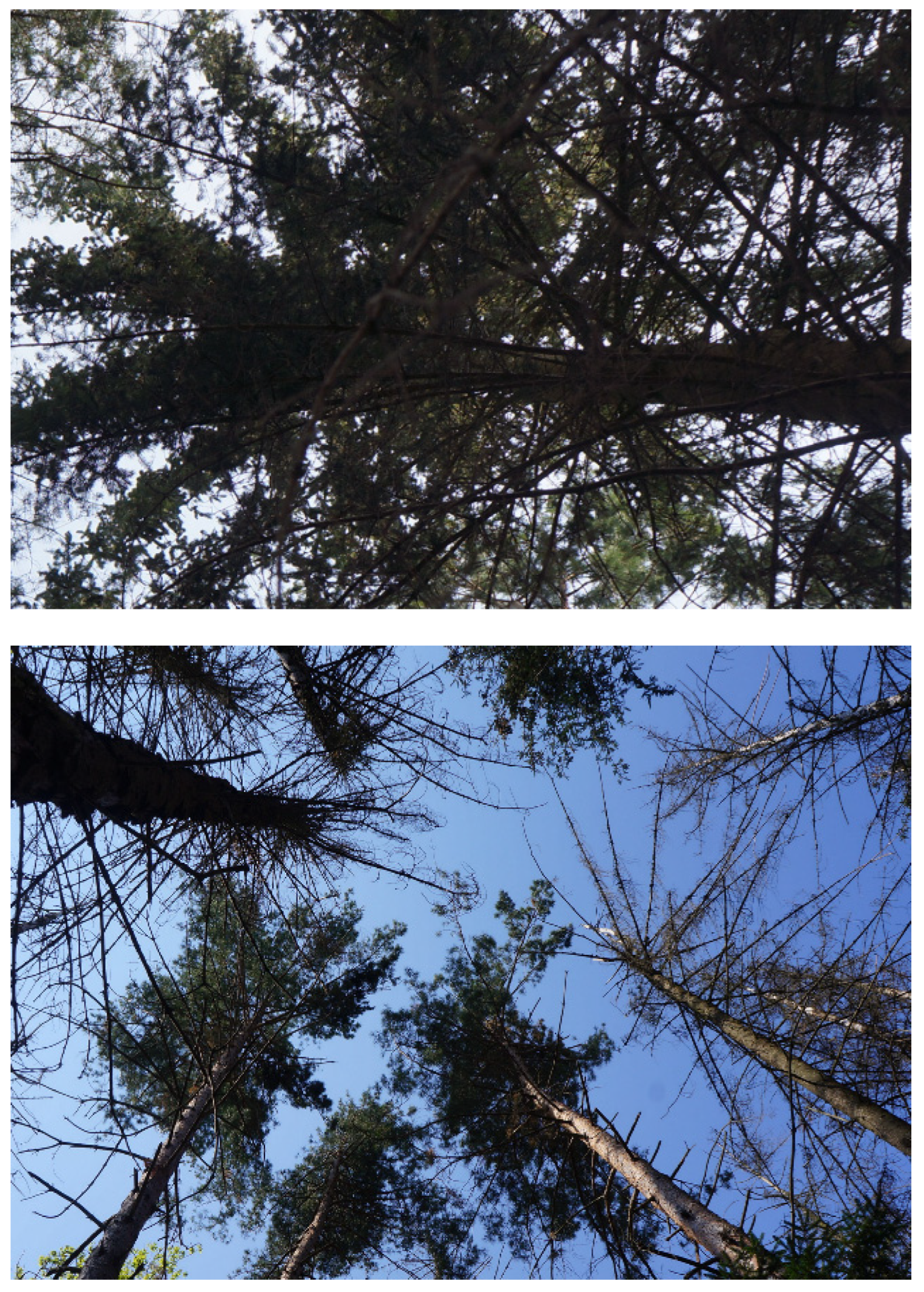 Applsci 13 06142 g018