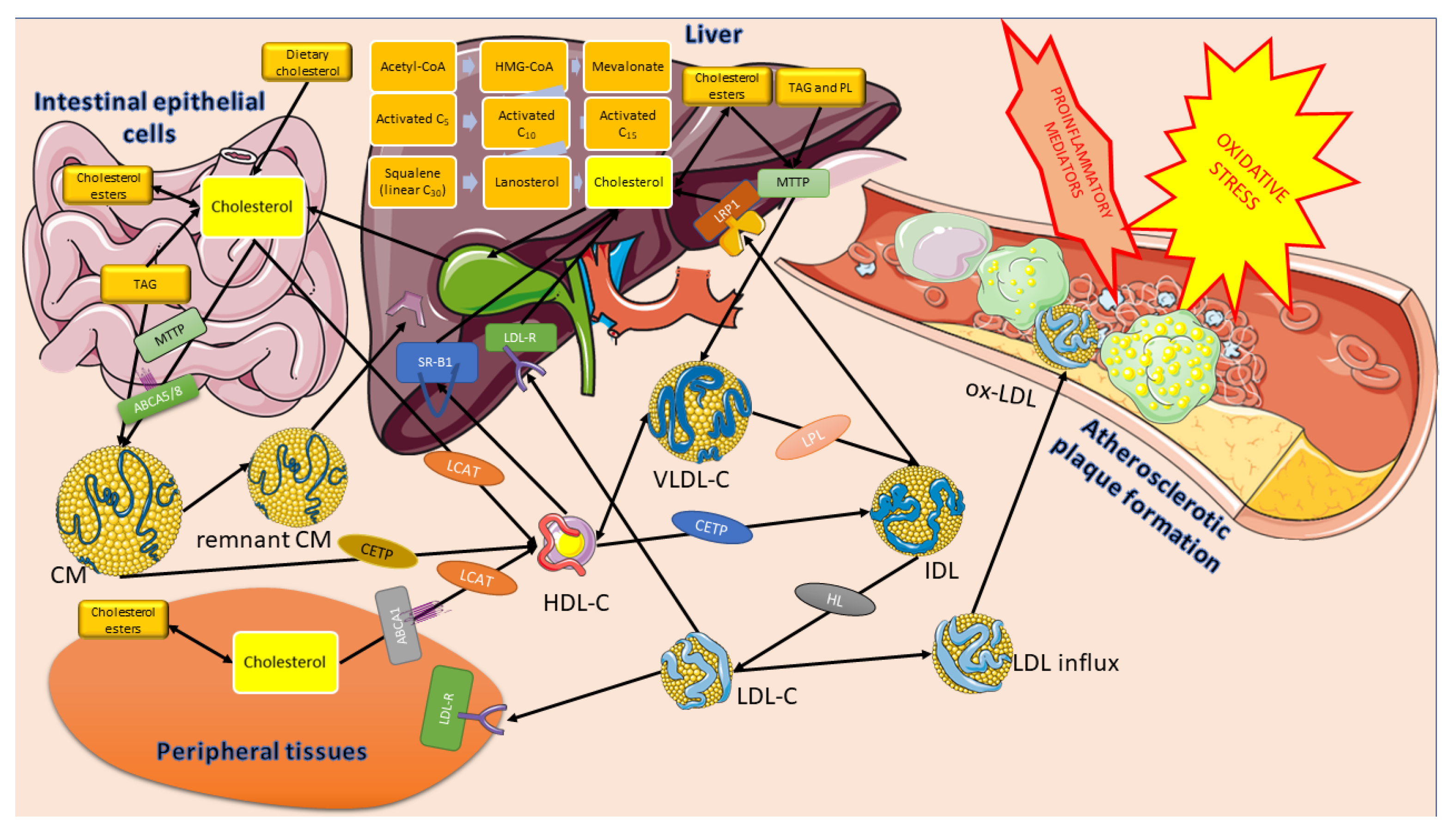 Applsci 13 06149 g002 Applsci 13 06149 g002