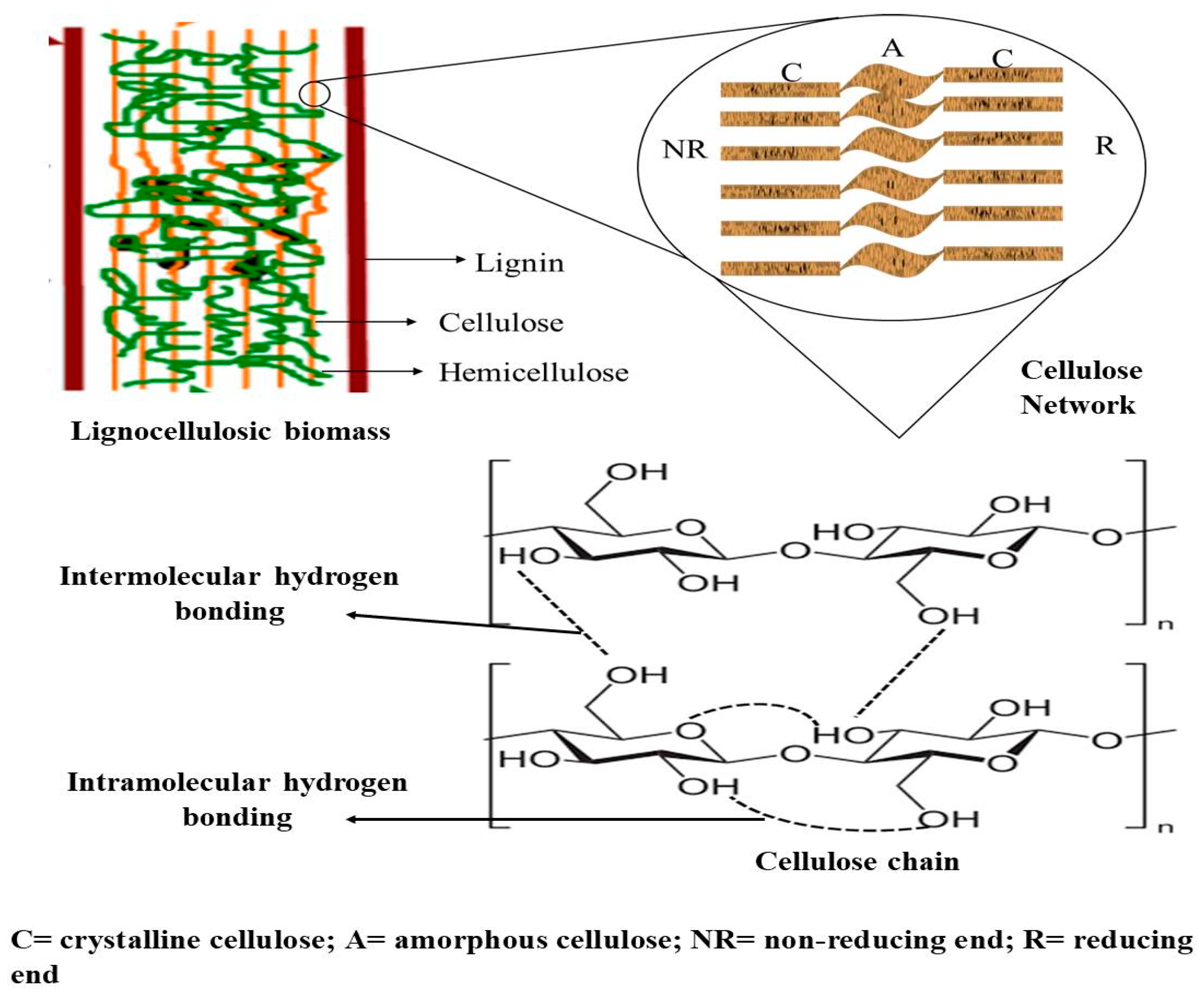 Applsci 13 06159 g001 Applsci 13 06159 g001