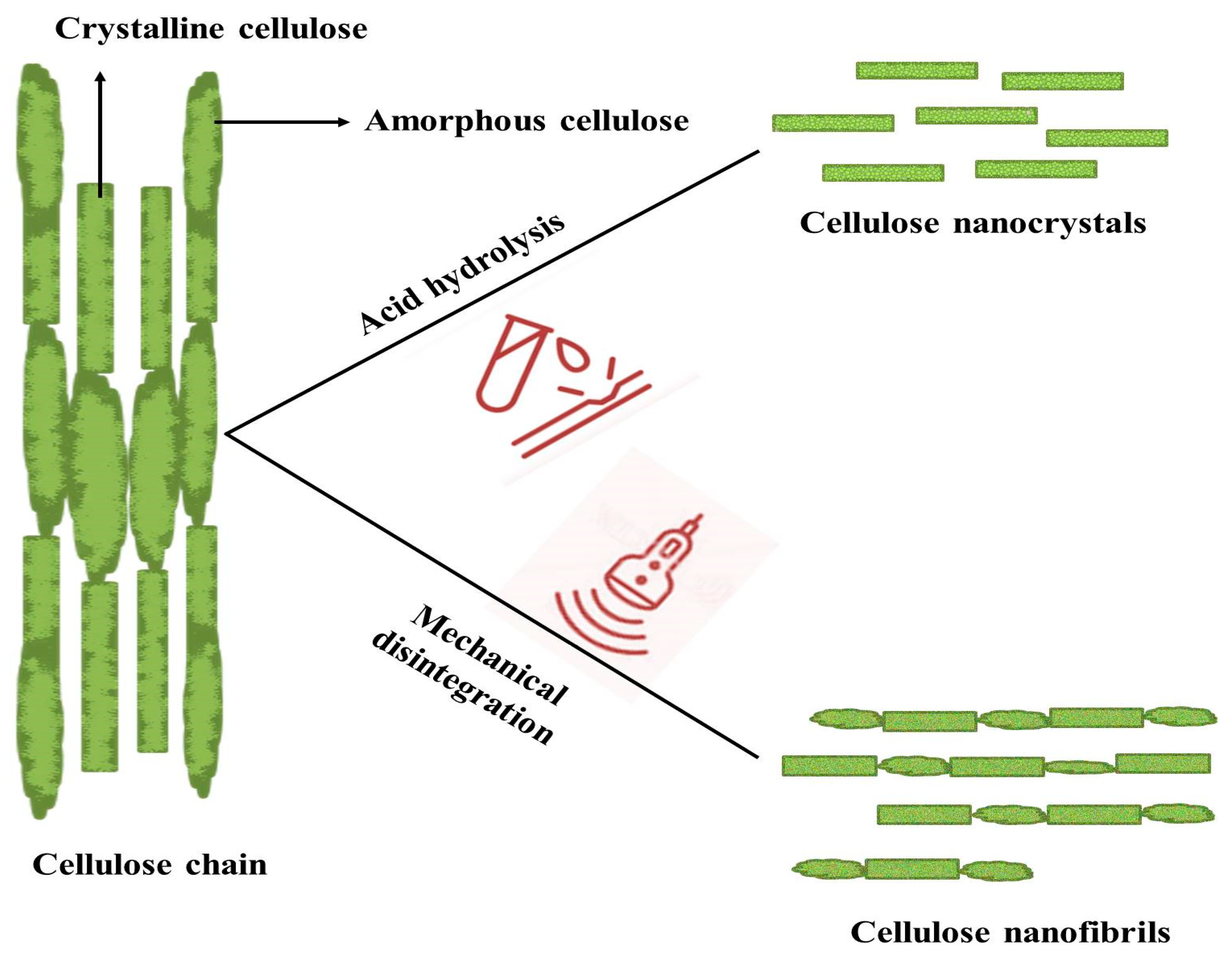 Applsci 13 06159 g002 Applsci 13 06159 g002