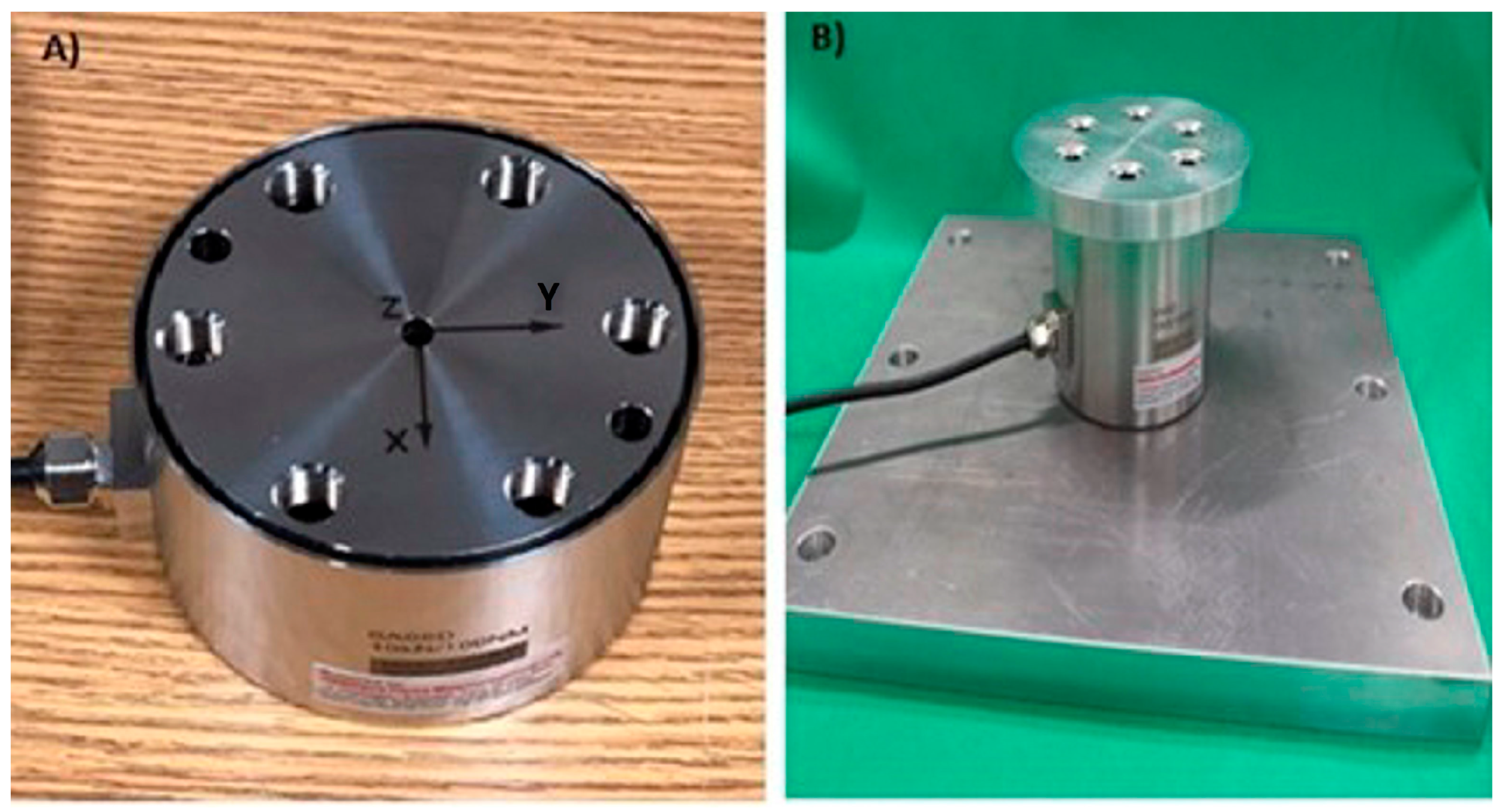 Applsci 13 06169 g001