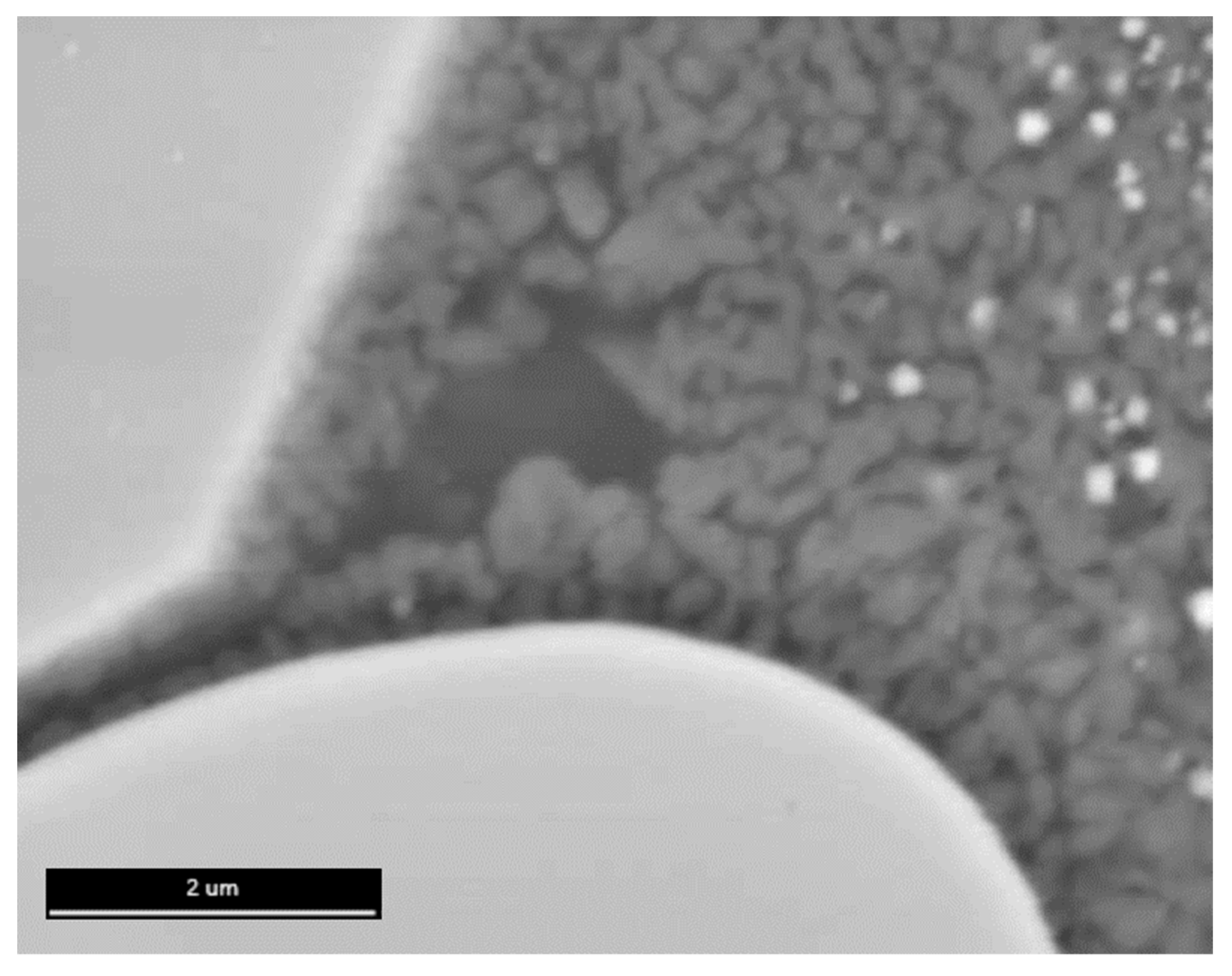 Applsci 13 06206 g008