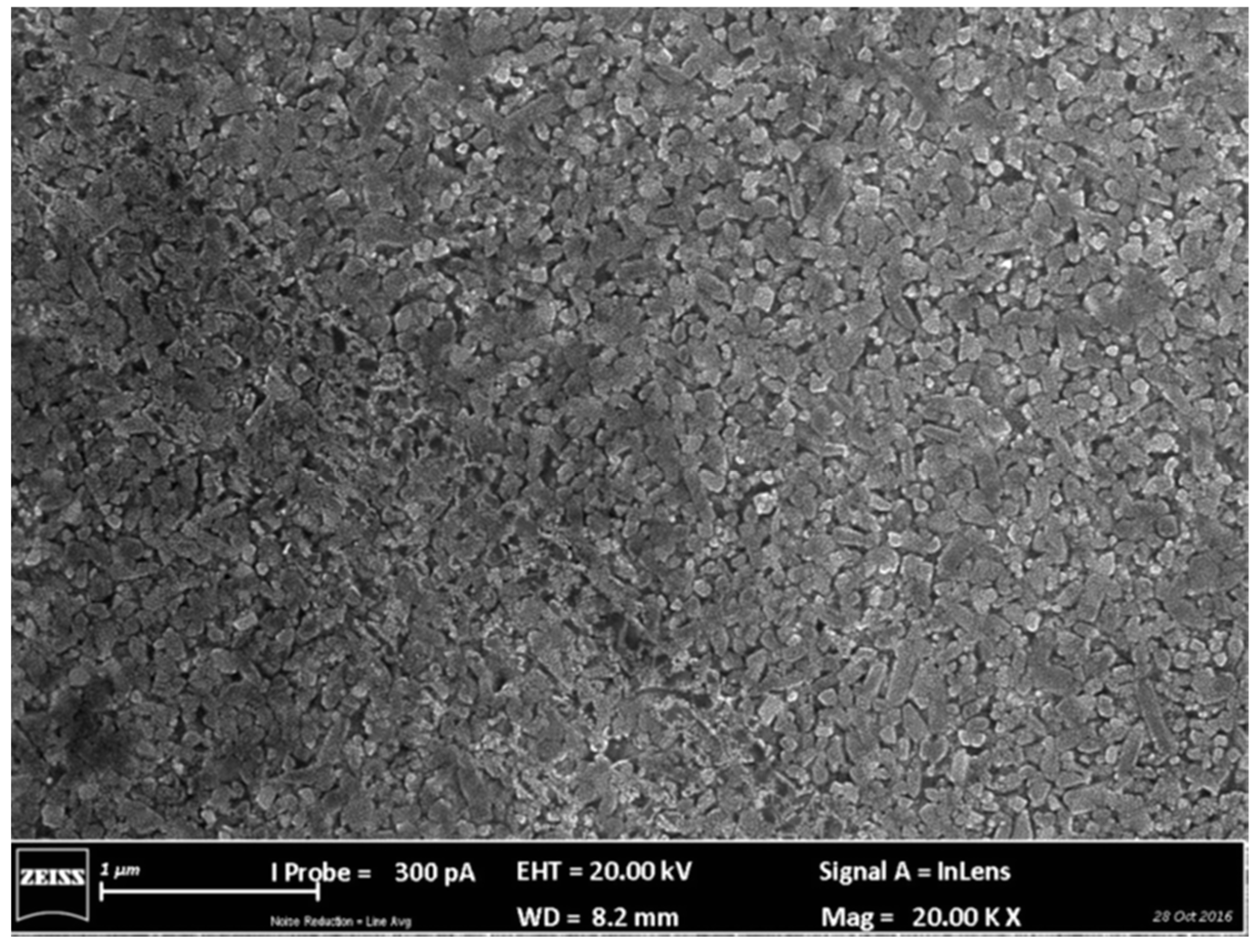 Applsci 13 06206 g009