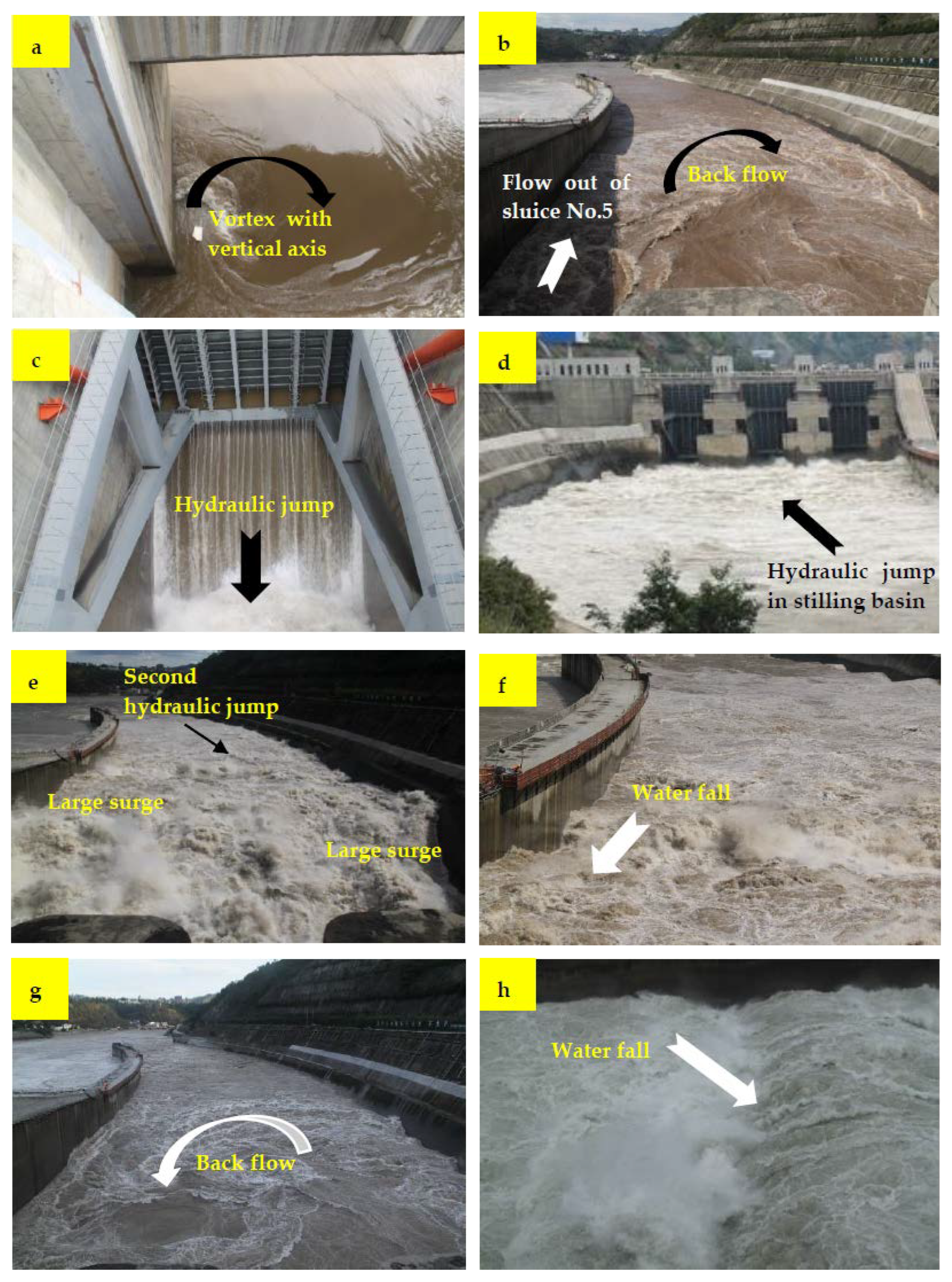 Applsci 13 06216 g005