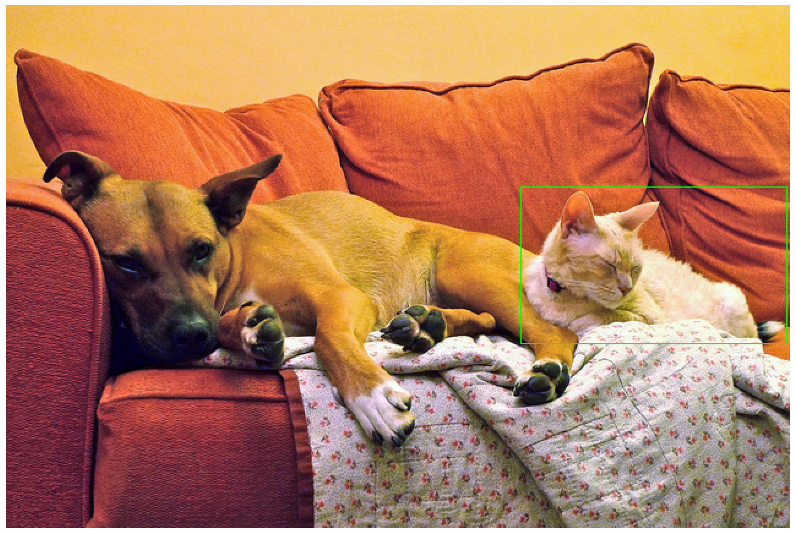 Applsci 13 06234 g001