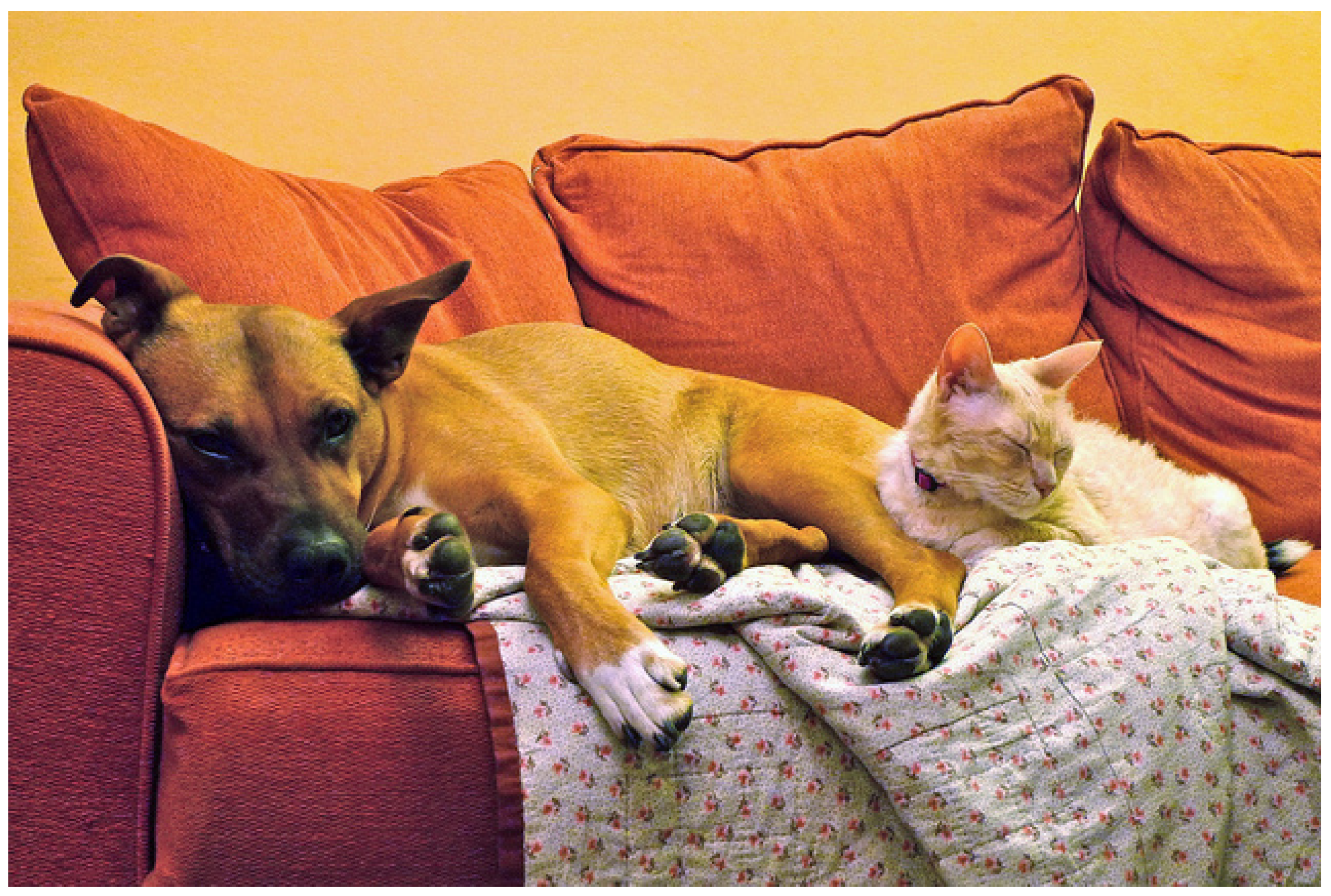 Applsci 13 06234 g002