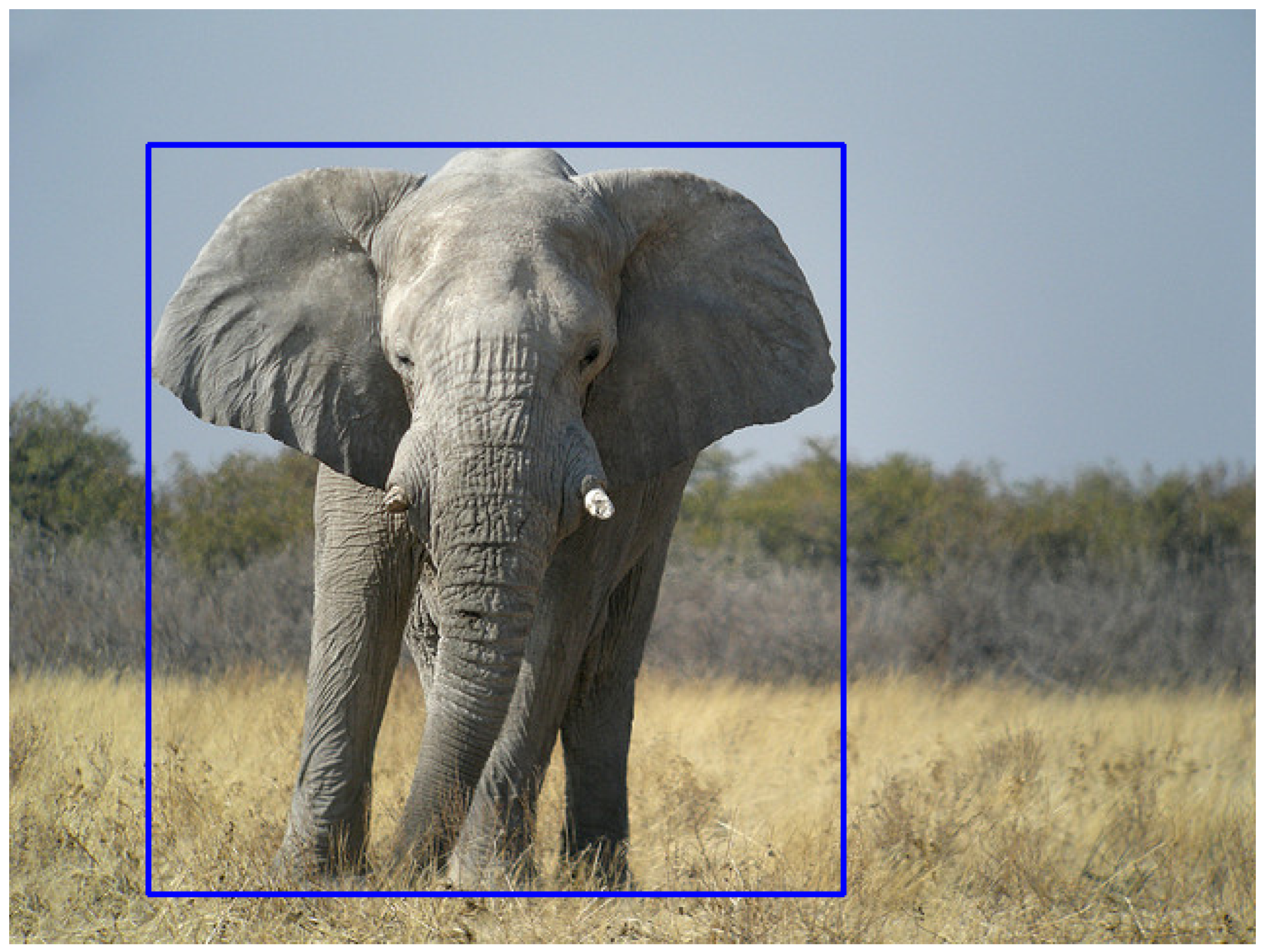 Applsci 13 06234 g008