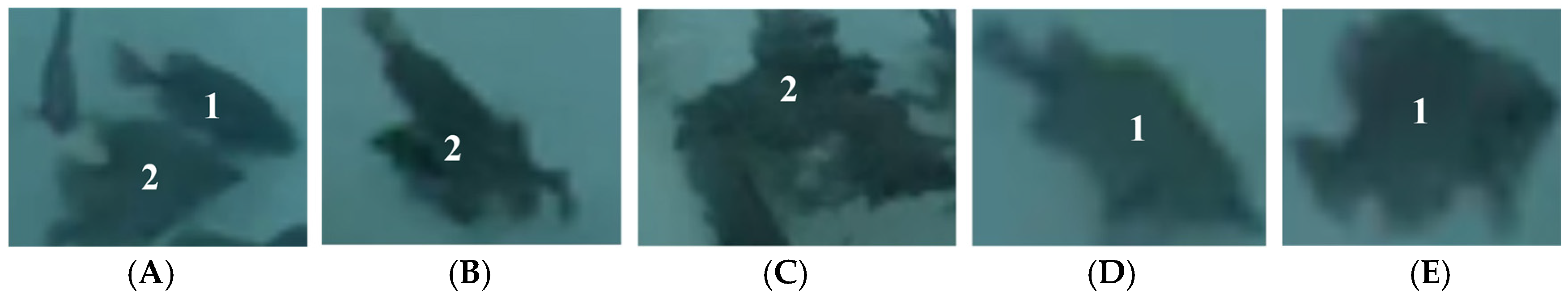 Applsci 13 06235 g002