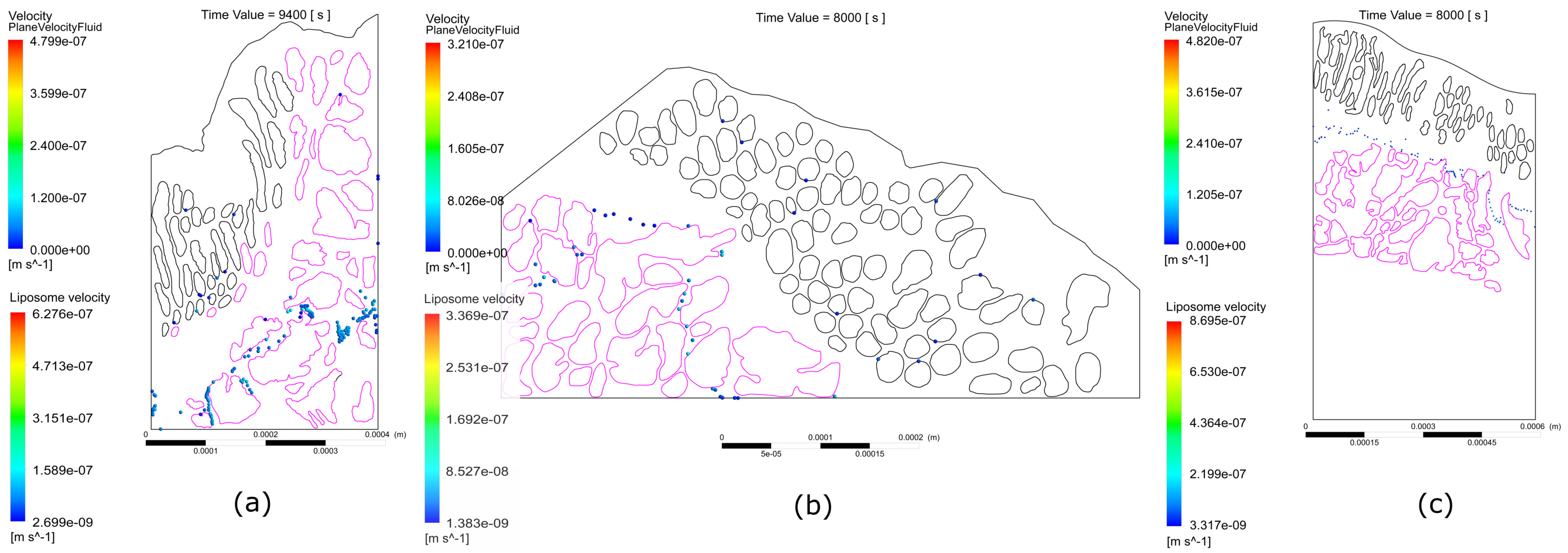 Applsci 13 06248 g001