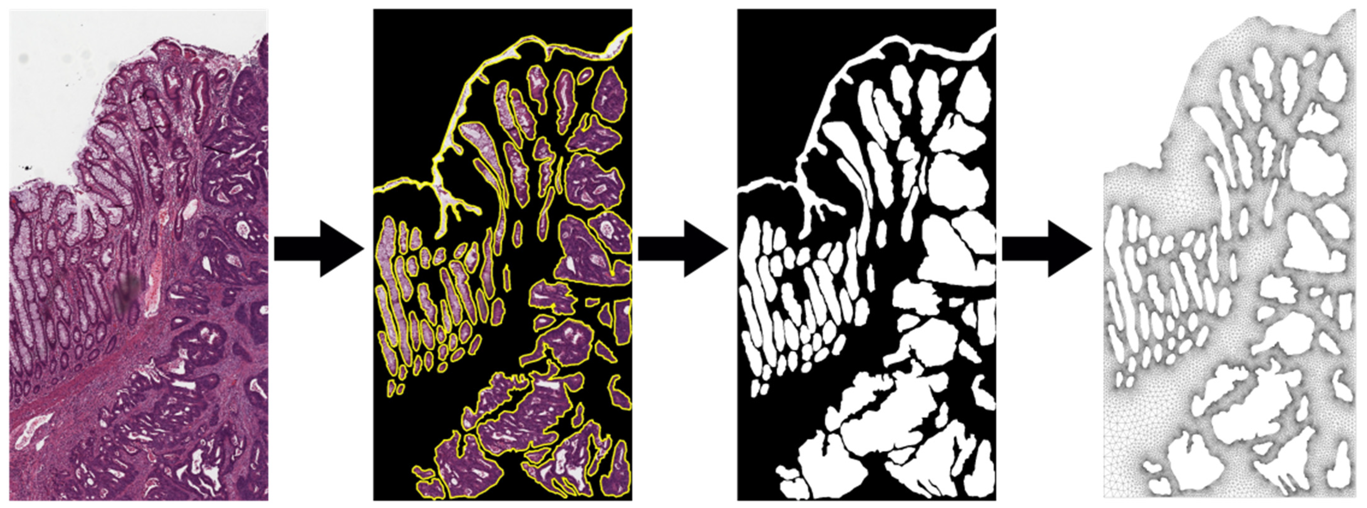 Applsci 13 06248 g012