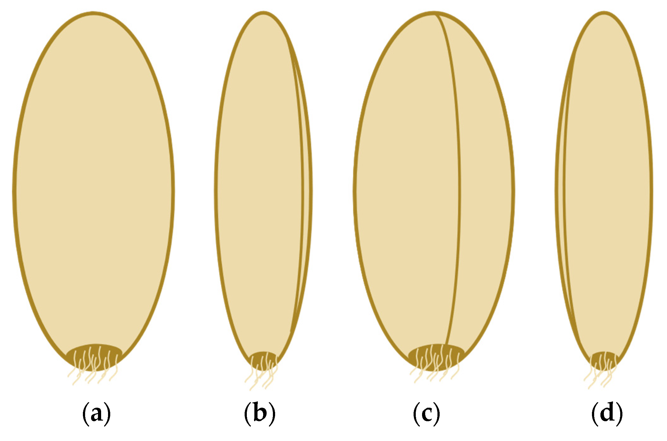 Applsci 13 06266 g002