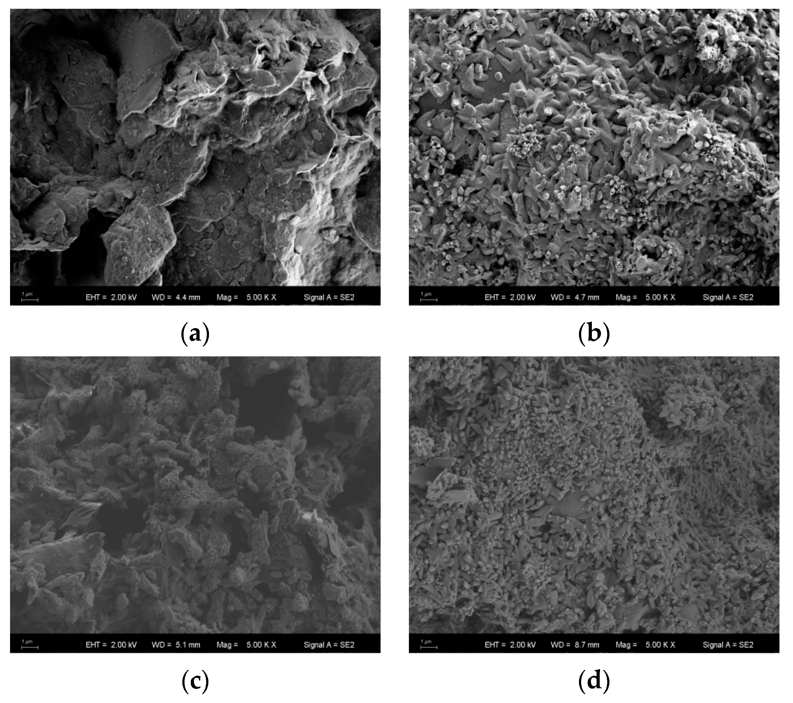 Applsci 13 06271 g008