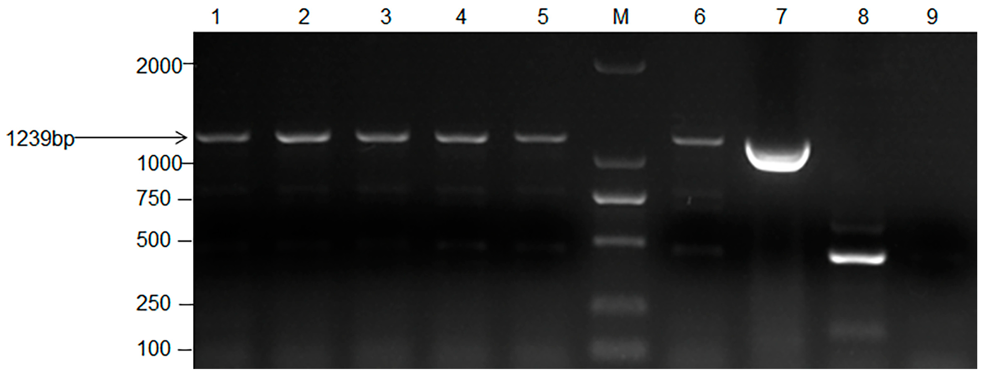 Applsci 13 06277 g003 Applsci 13 06277 g003