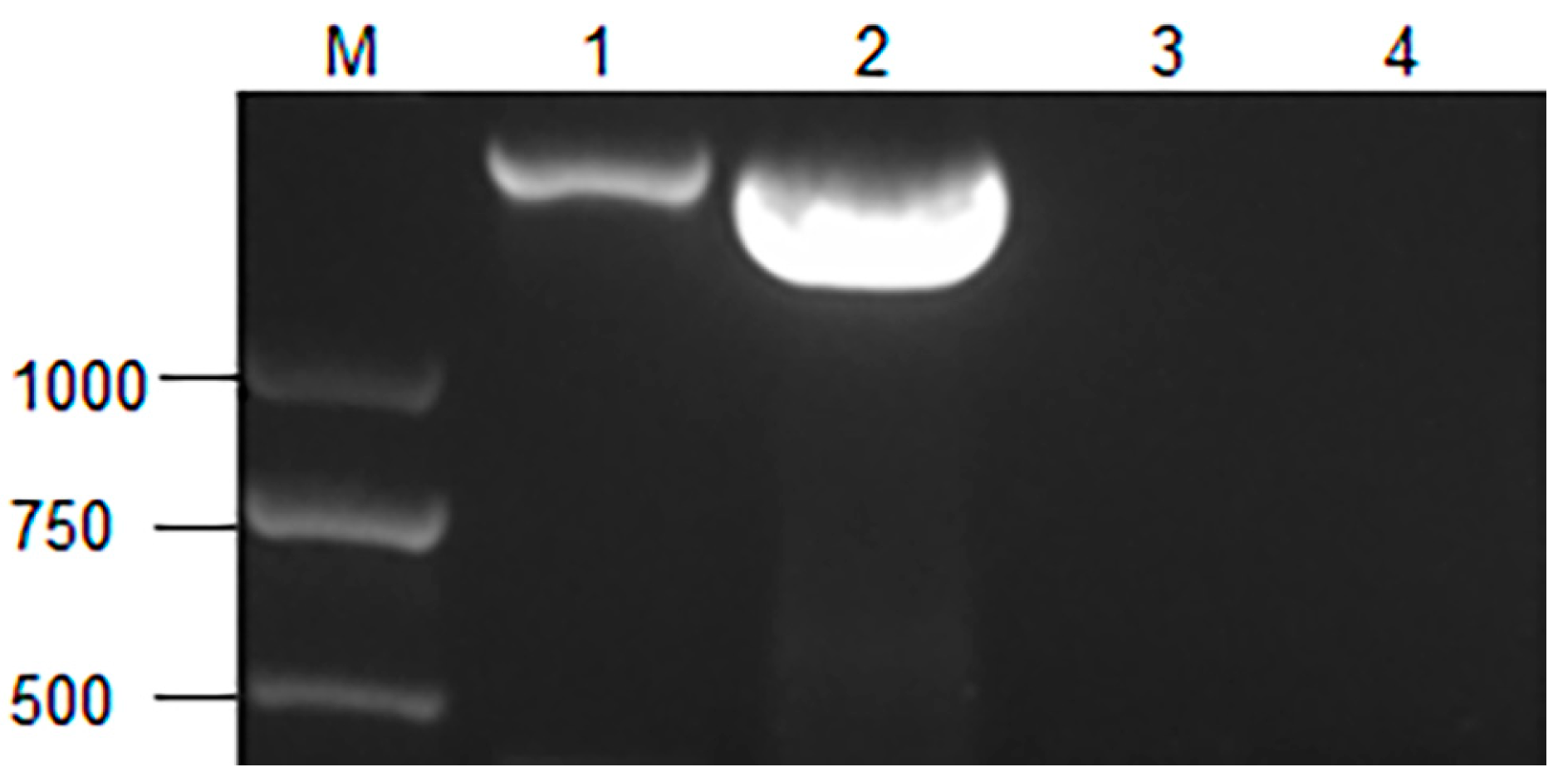 Applsci 13 06277 g005 Applsci 13 06277 g005