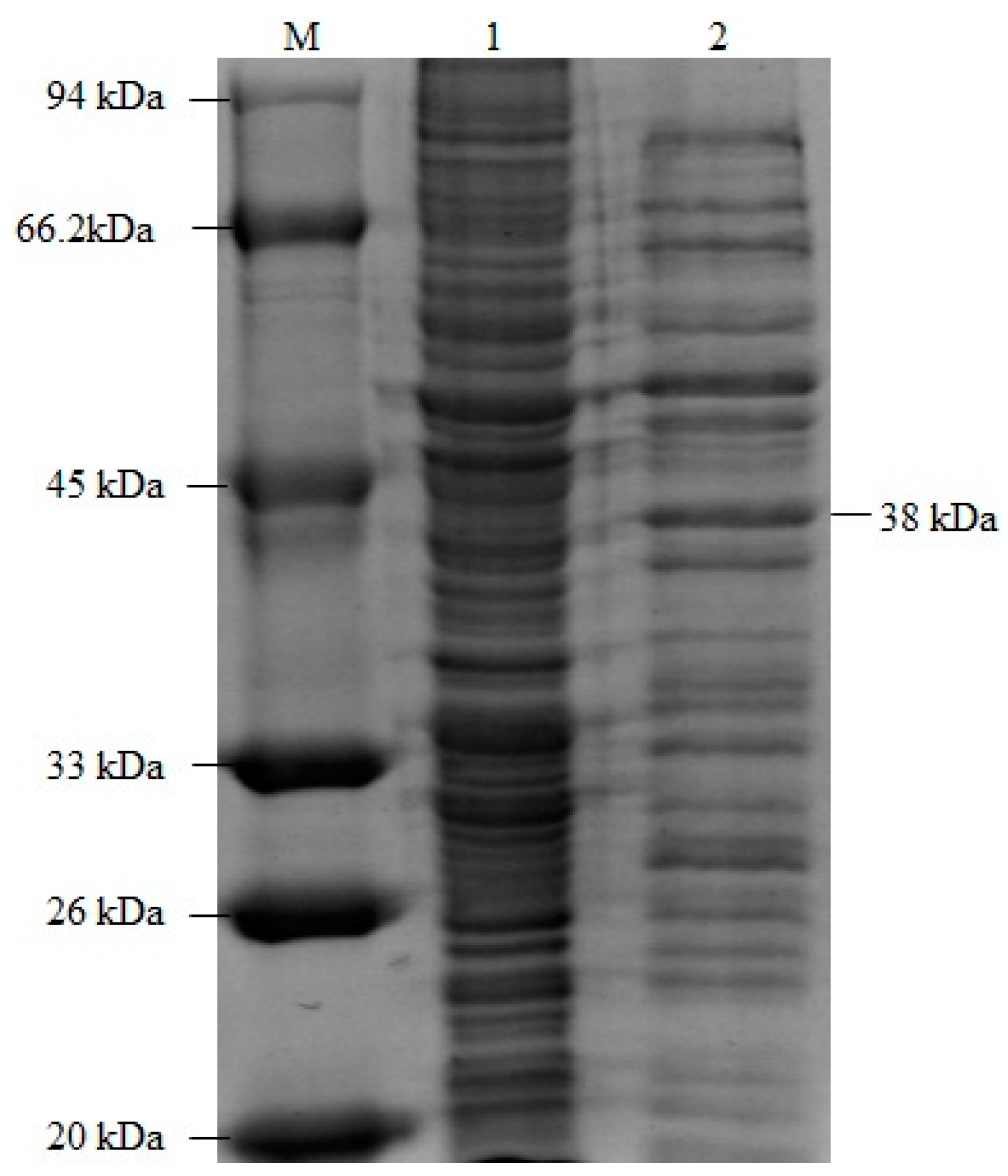 Applsci 13 06277 g006 Applsci 13 06277 g006