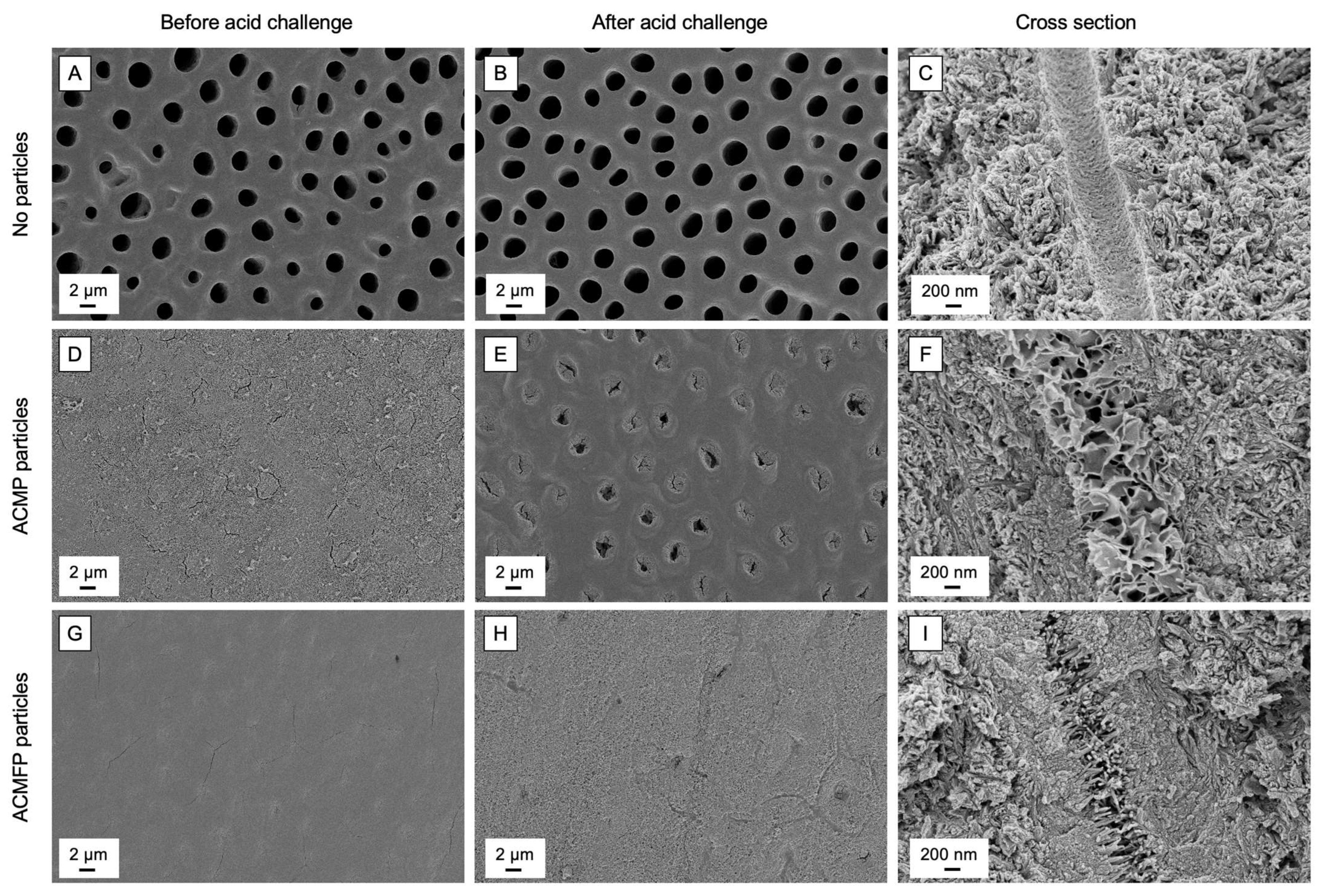 Applsci 13 06298 g004 Applsci 13 06298 g004