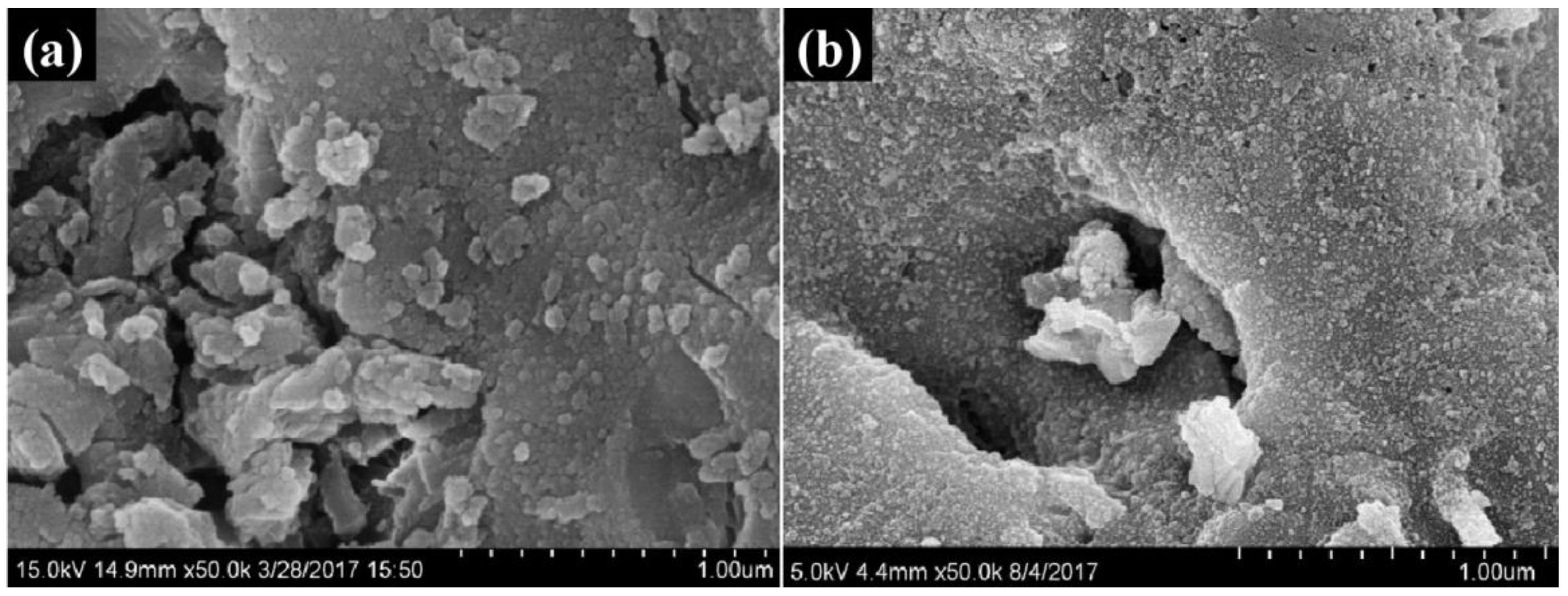 Applsci 13 06306 g001 Applsci 13 06306 g001