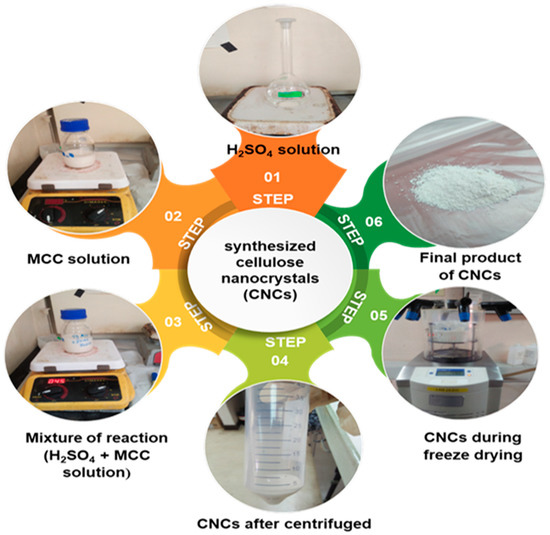 Surface Modification of Cellulose Nanocrystals (CNCs) to