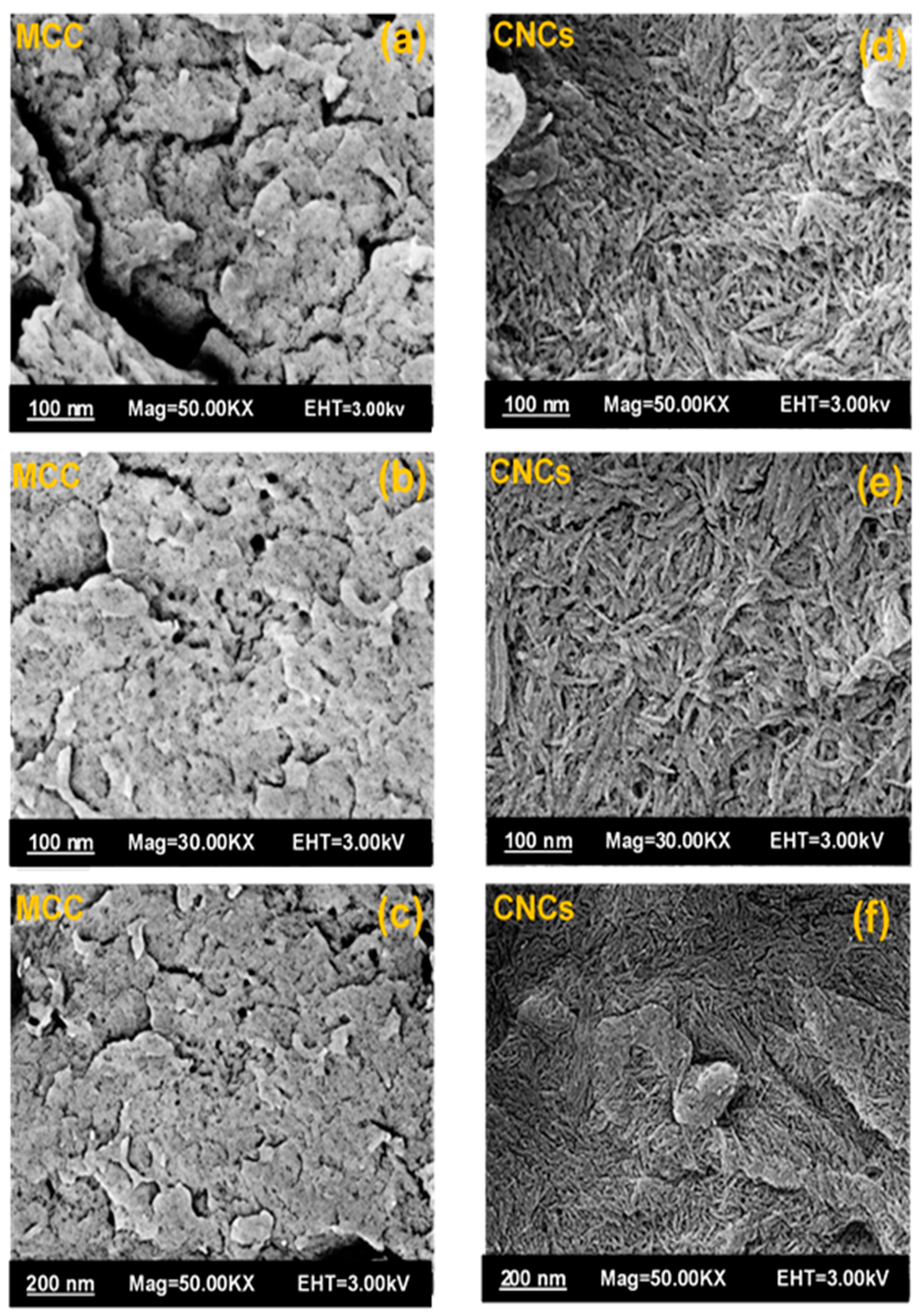 Applsci 13 06316 g008 Applsci 13 06316 g008