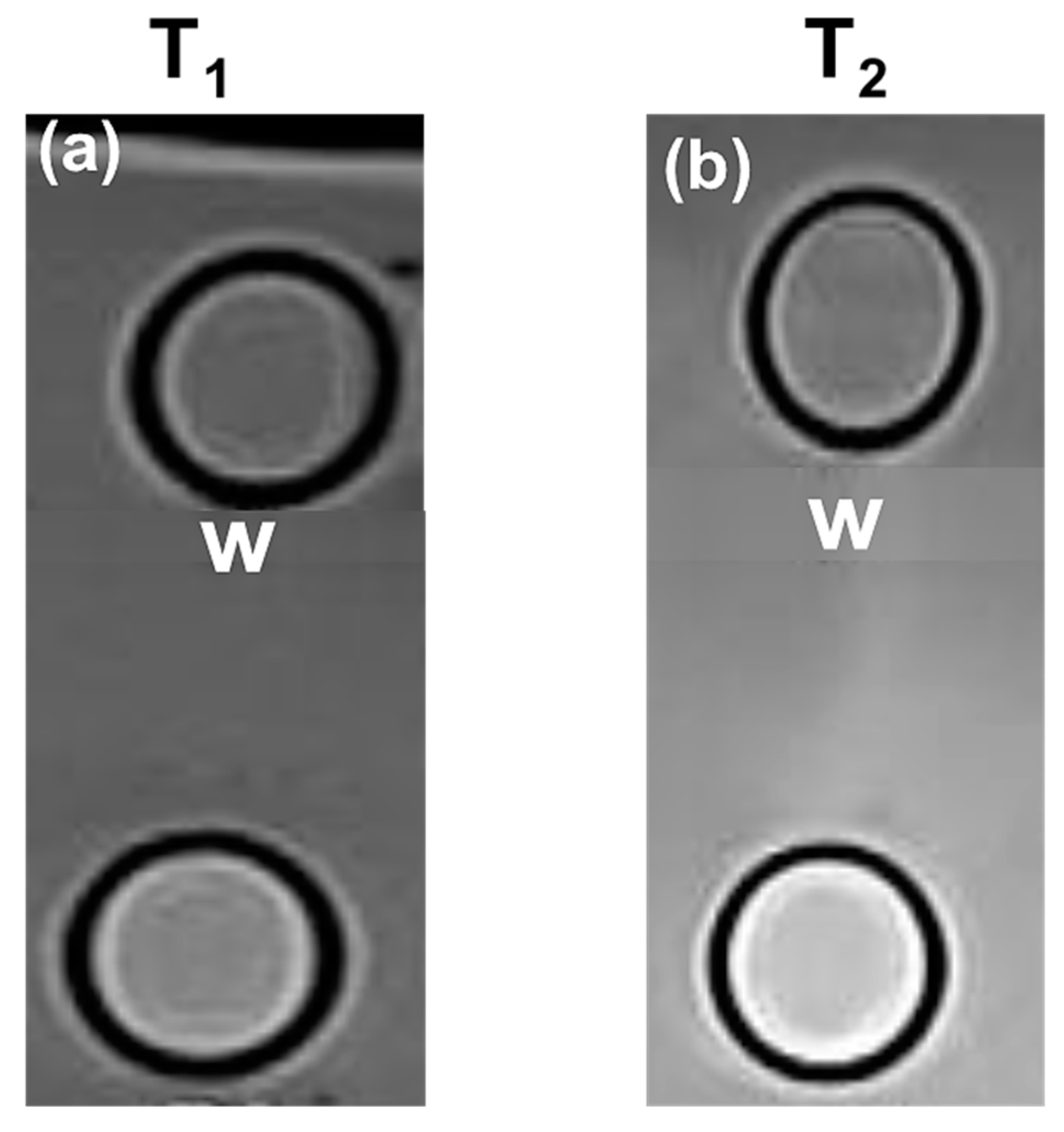 Applsci 13 06316 g015 Applsci 13 06316 g015