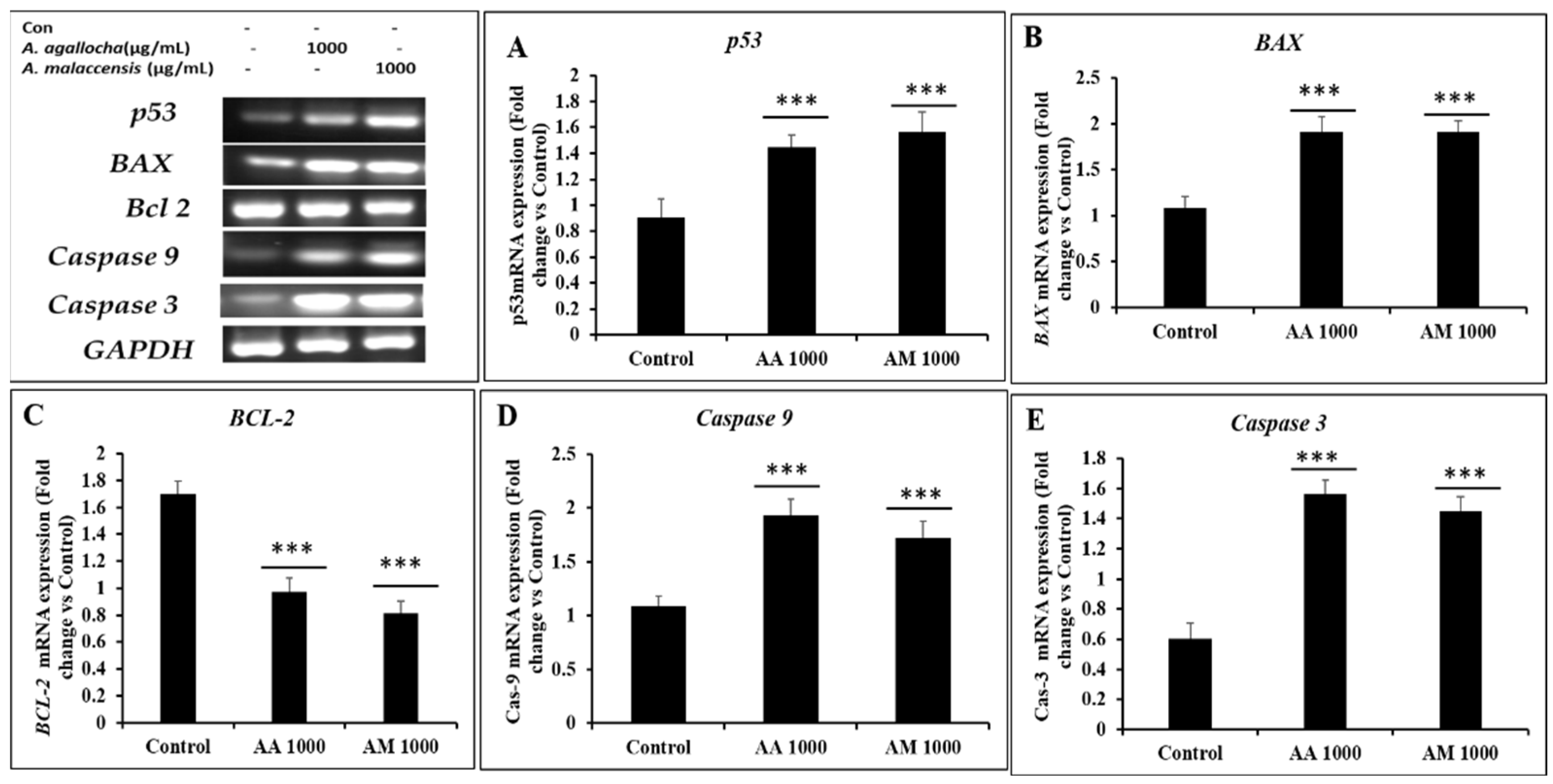 Applsci 13 06321 g009