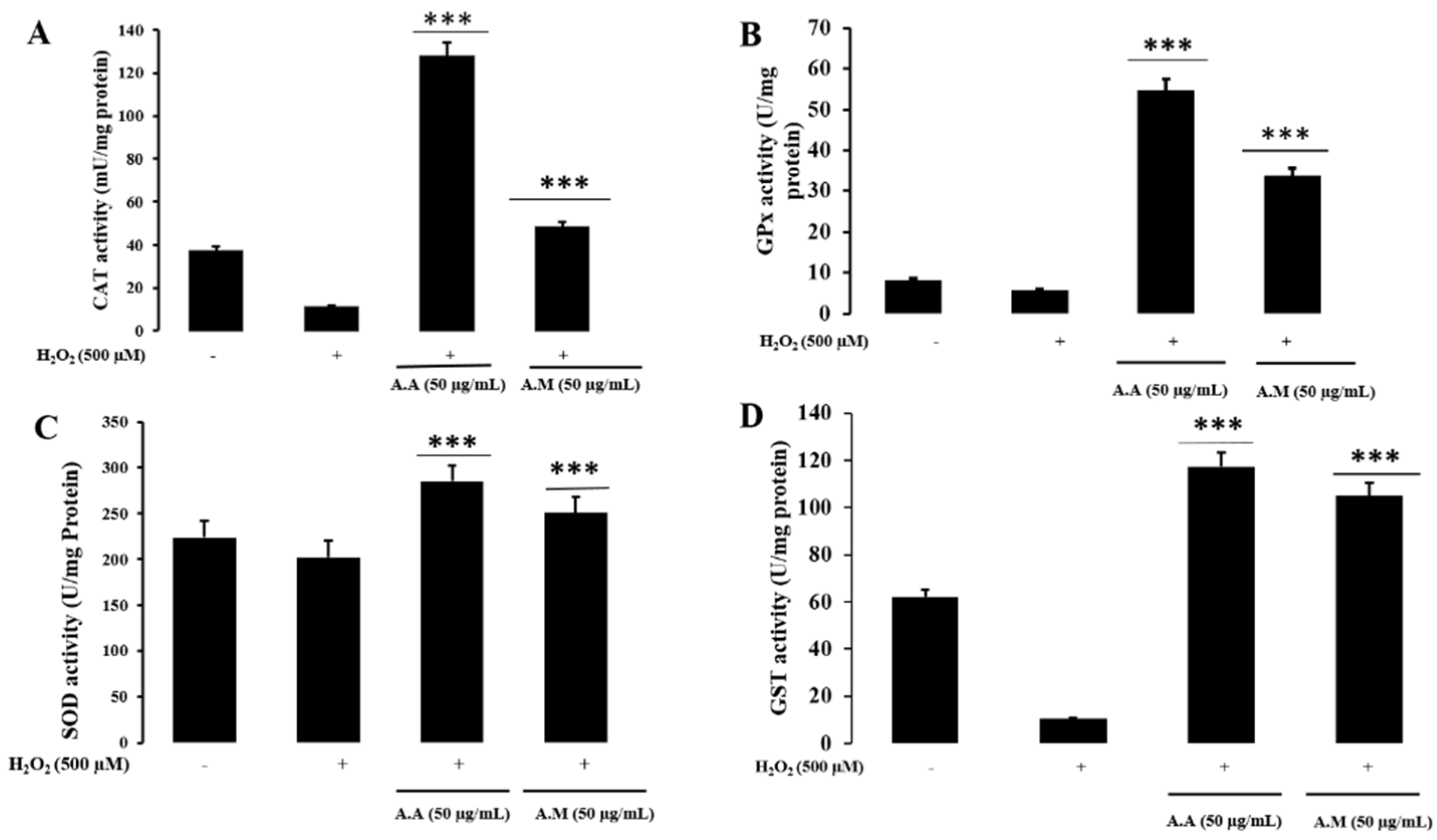 Applsci 13 06321 g011