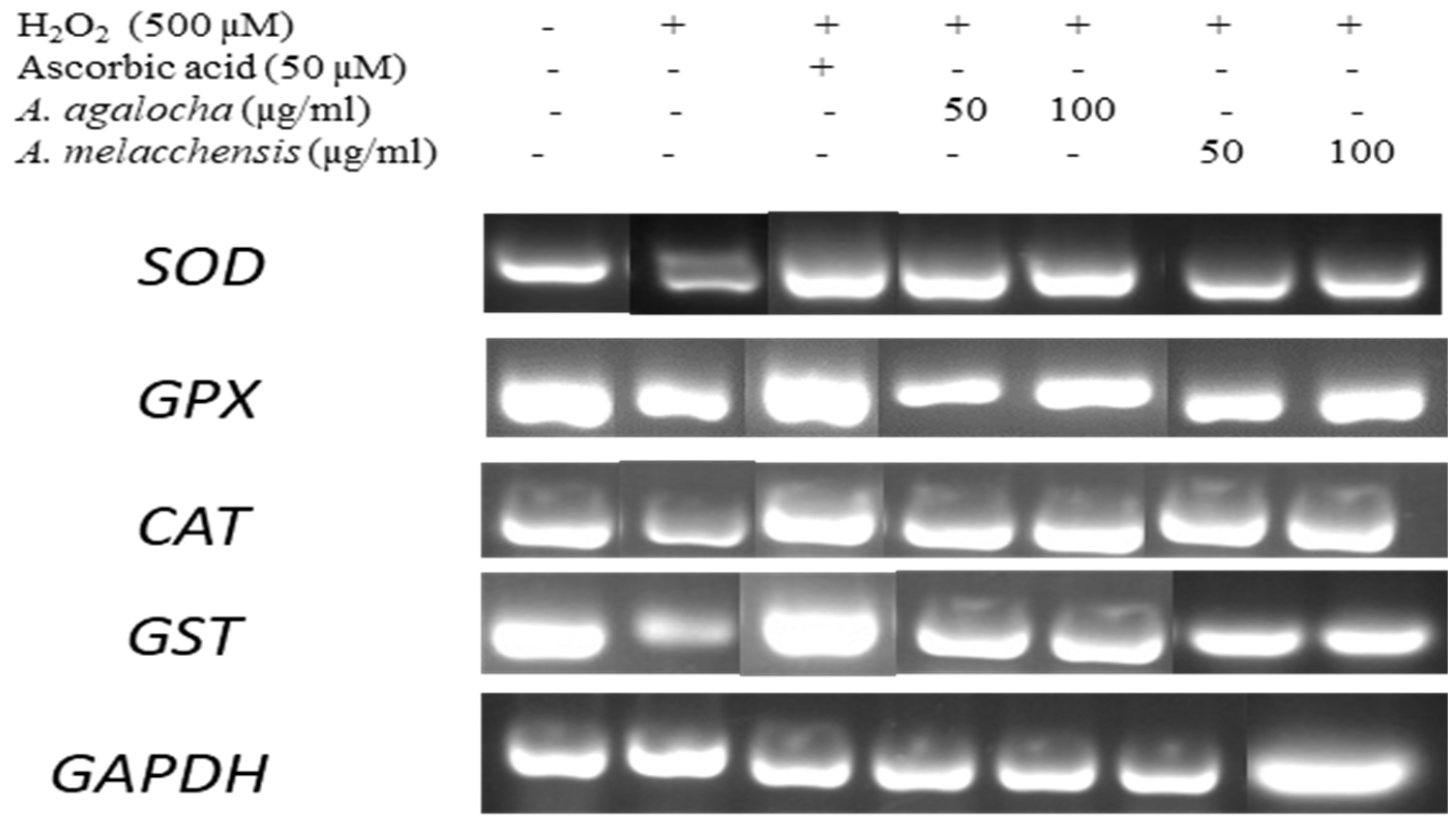 Applsci 13 06321 g012