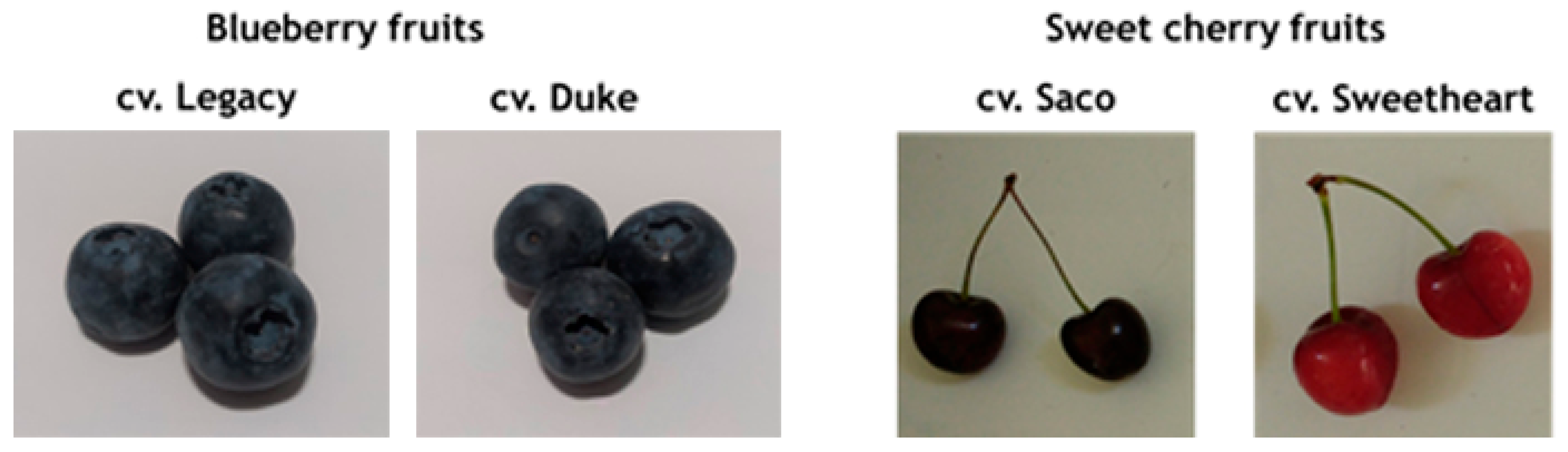 Applsci 13 06348 g001 Applsci 13 06348 g001