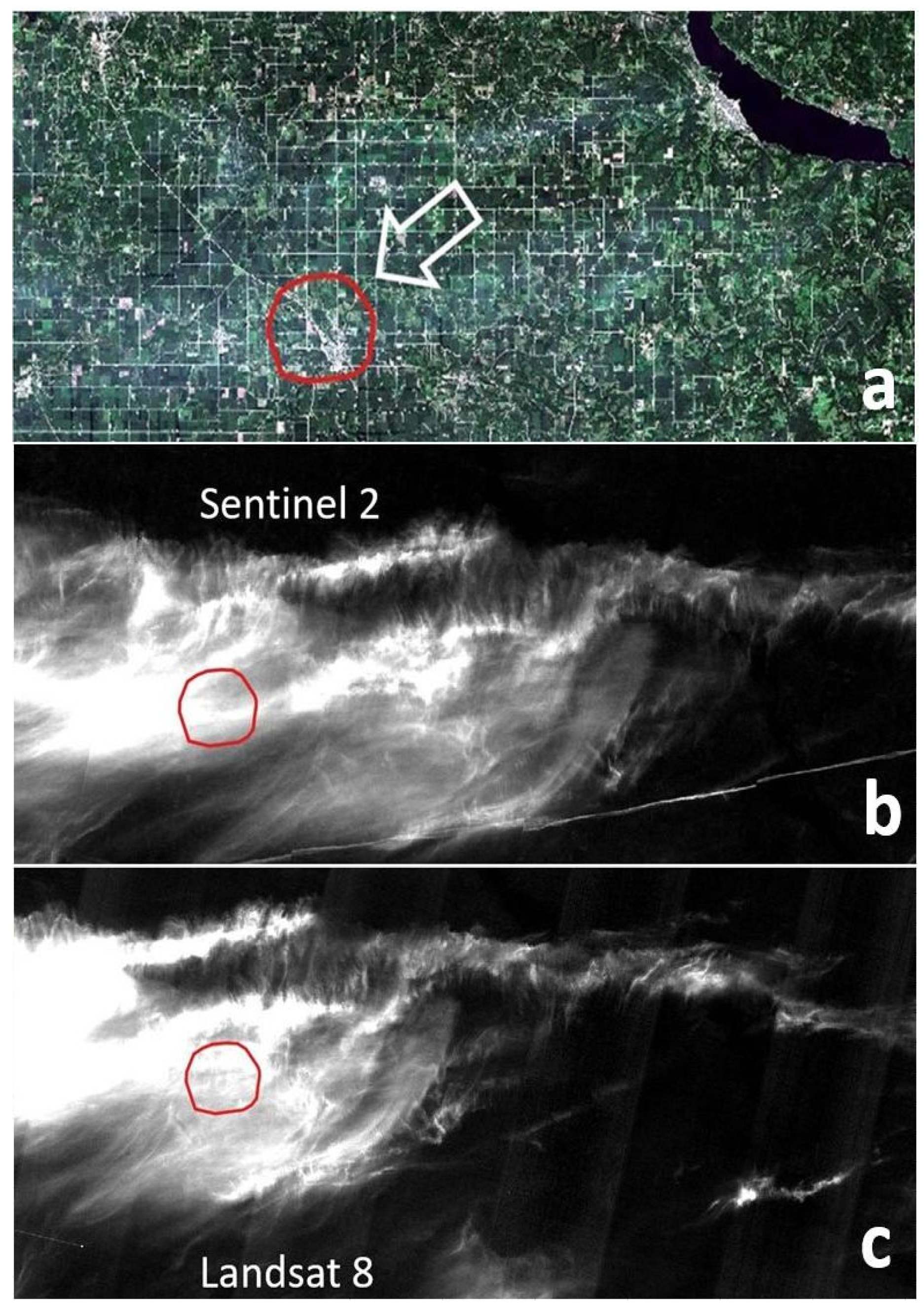 Applsci 13 06352 g001