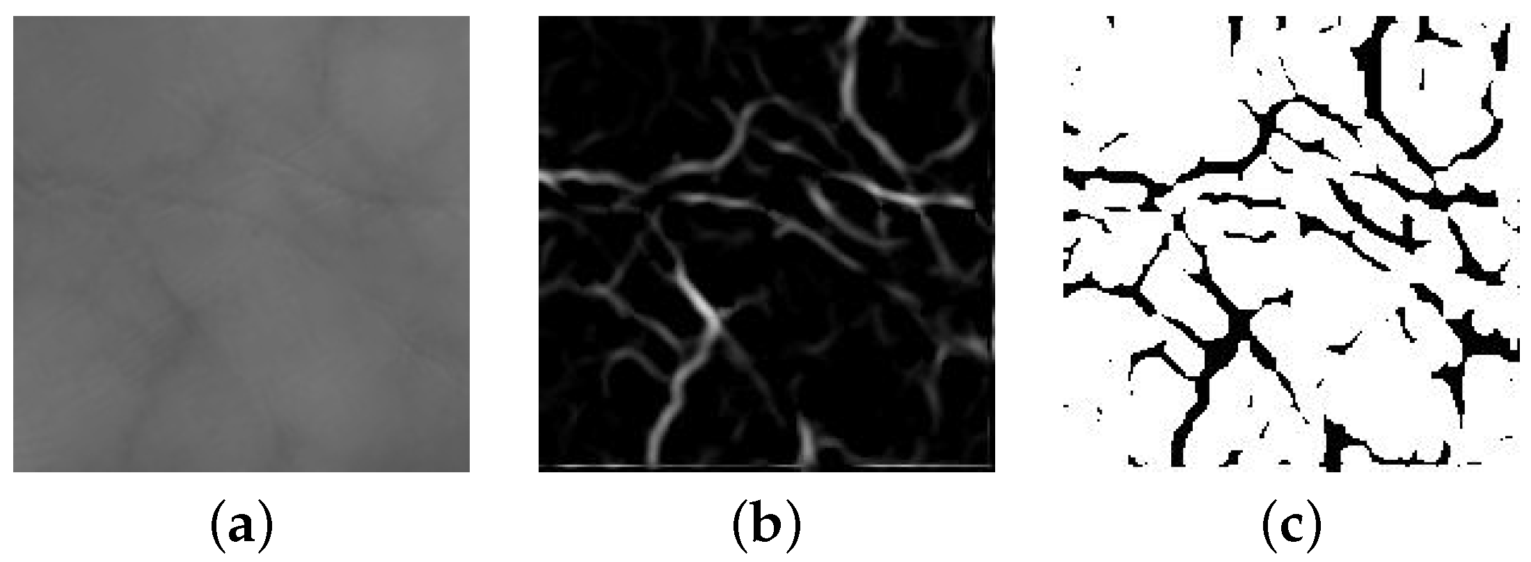 Applsci 13 06363 g004