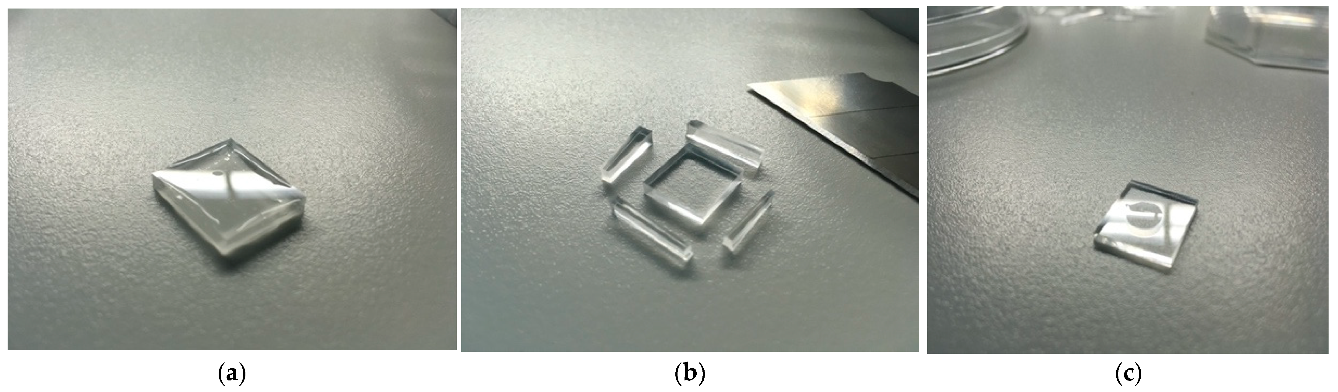 Applsci 13 06365 g003 Applsci 13 06365 g003