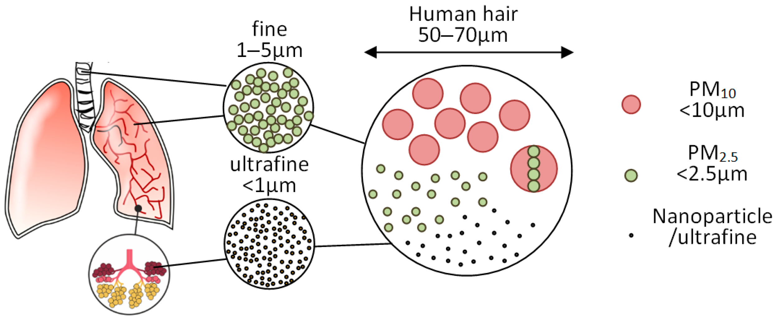 Applsci 13 06371 g002