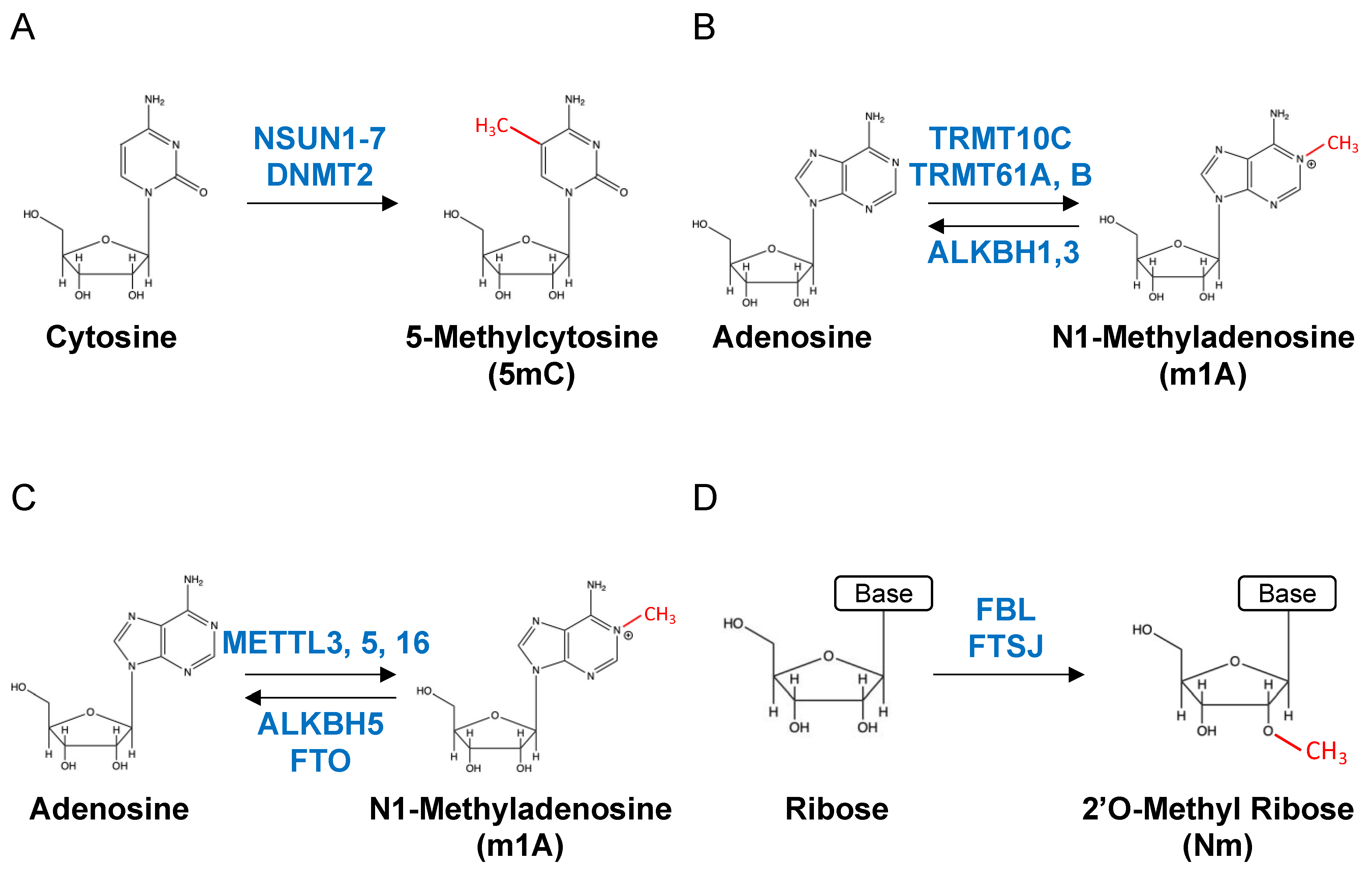 Applsci 13 06376 g001 Applsci 13 06376 g001