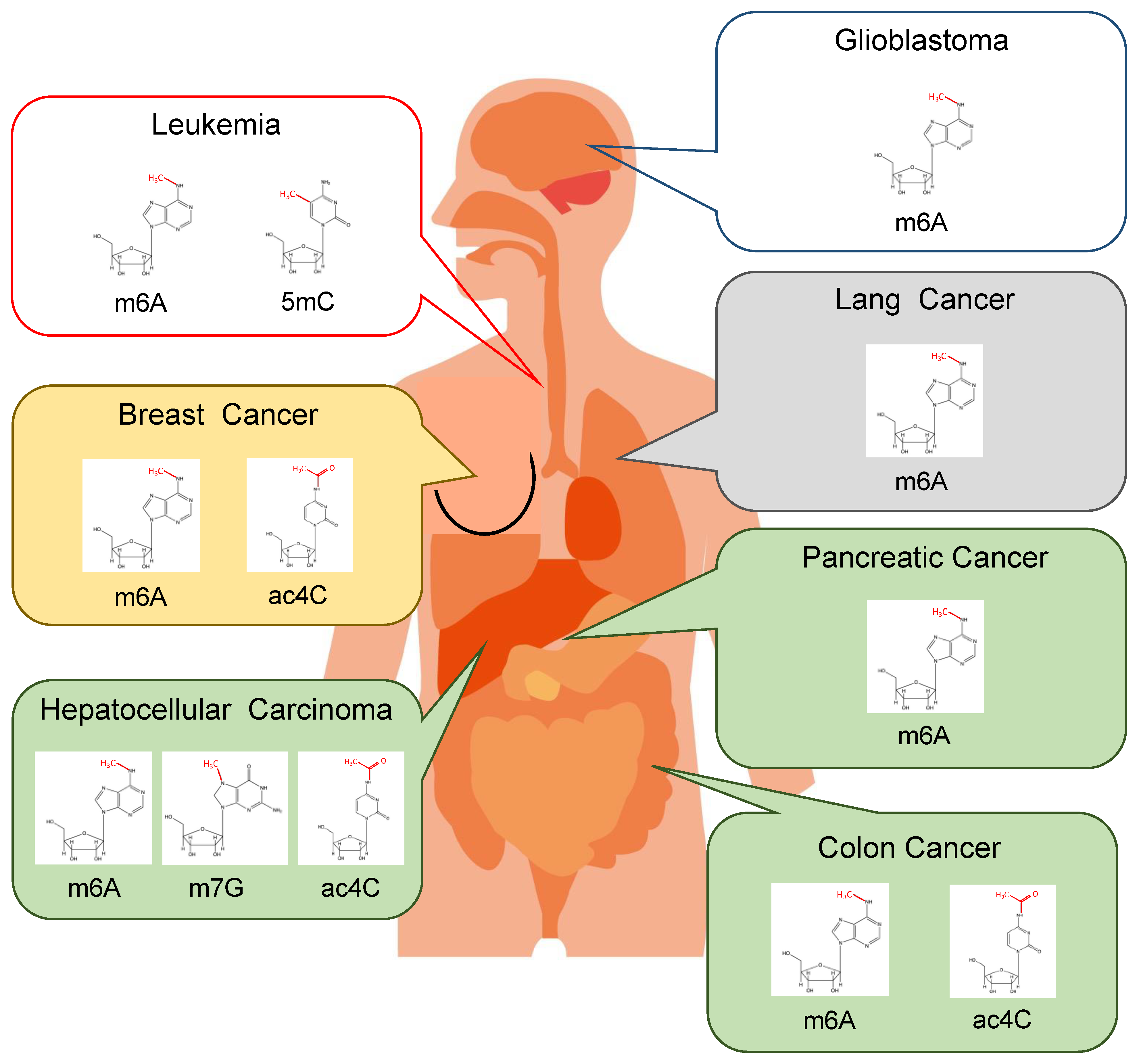 Applsci 13 06376 g002 Applsci 13 06376 g002