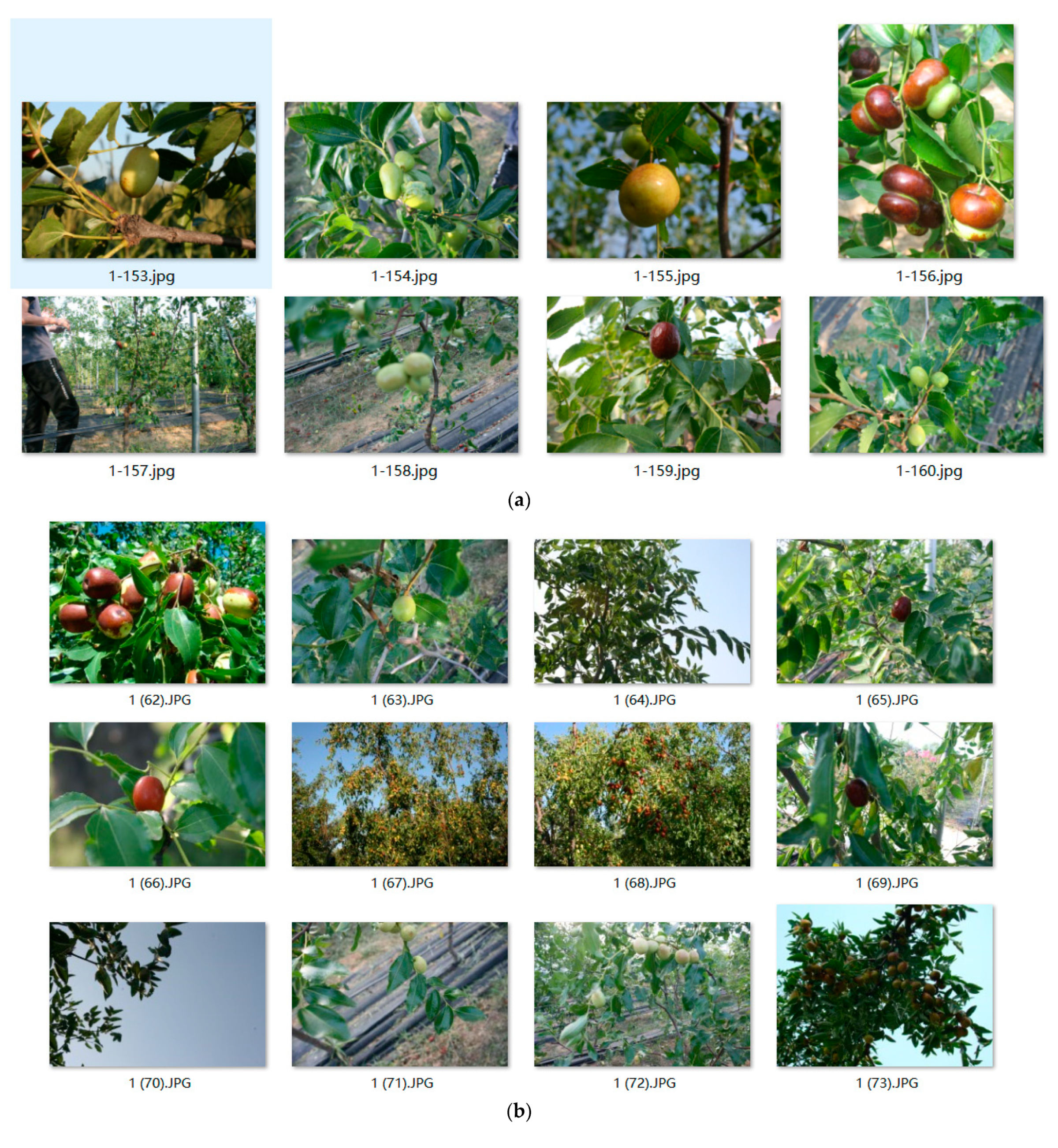 Applsci 13 06381 g002a Applsci 13 06381 g002a