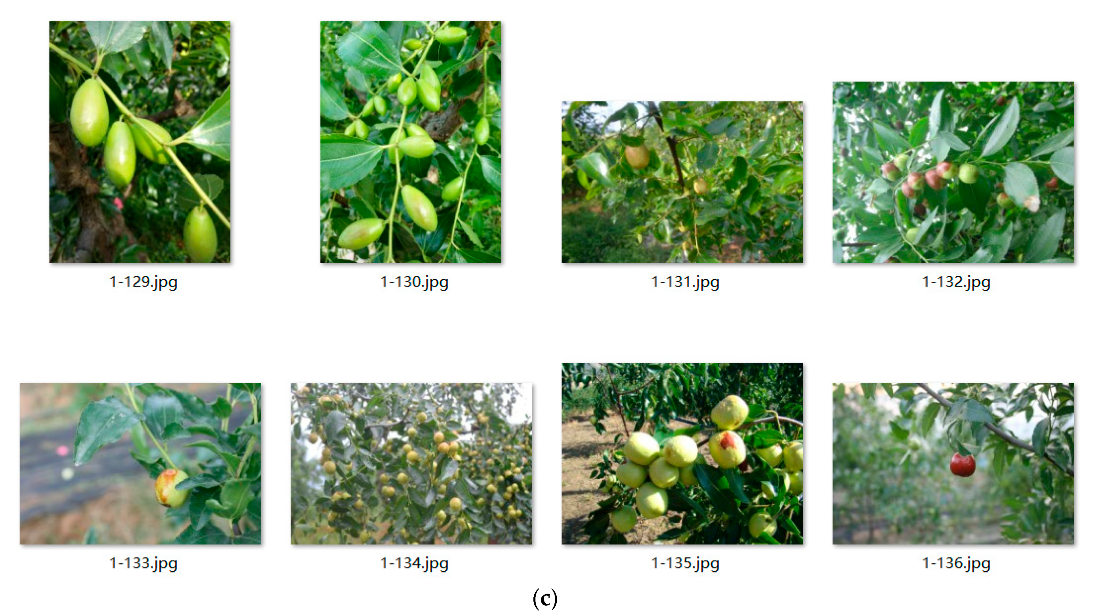 Applsci 13 06381 g002b Applsci 13 06381 g002b