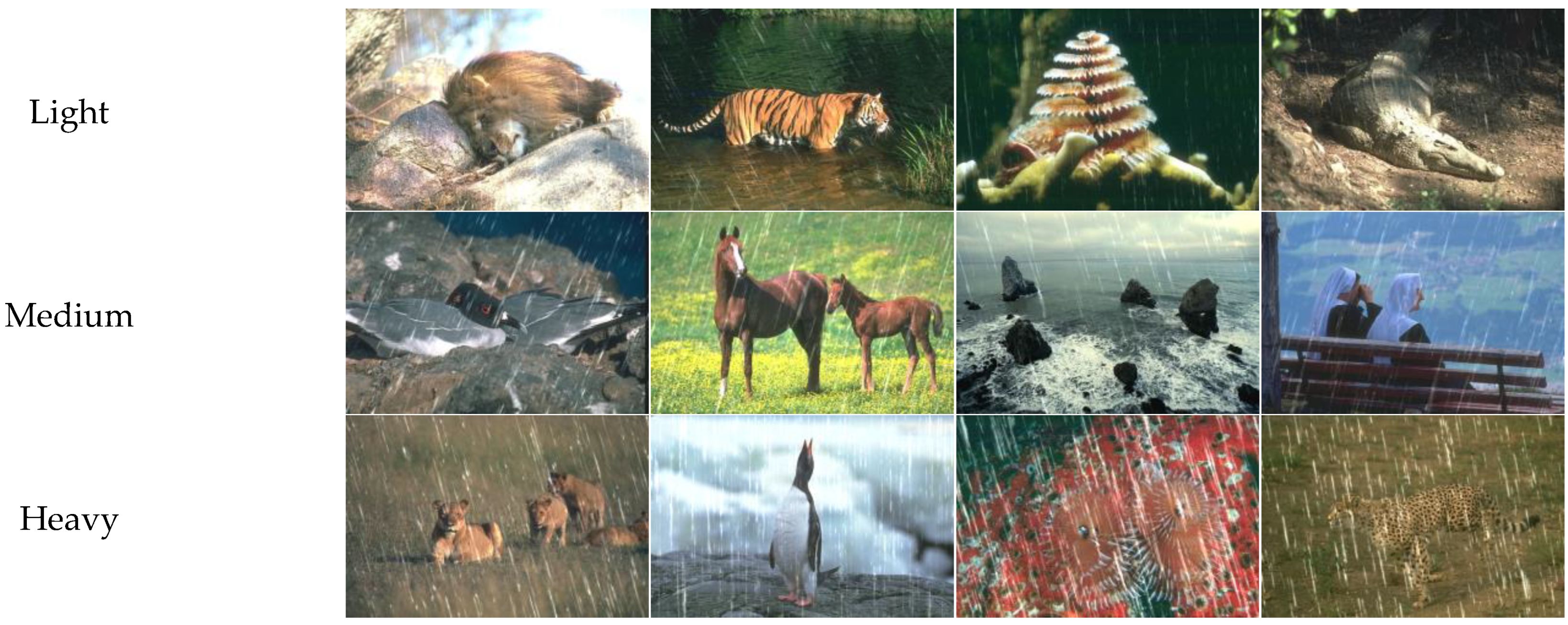 Applsci 13 06387 g004 Applsci 13 06387 g004