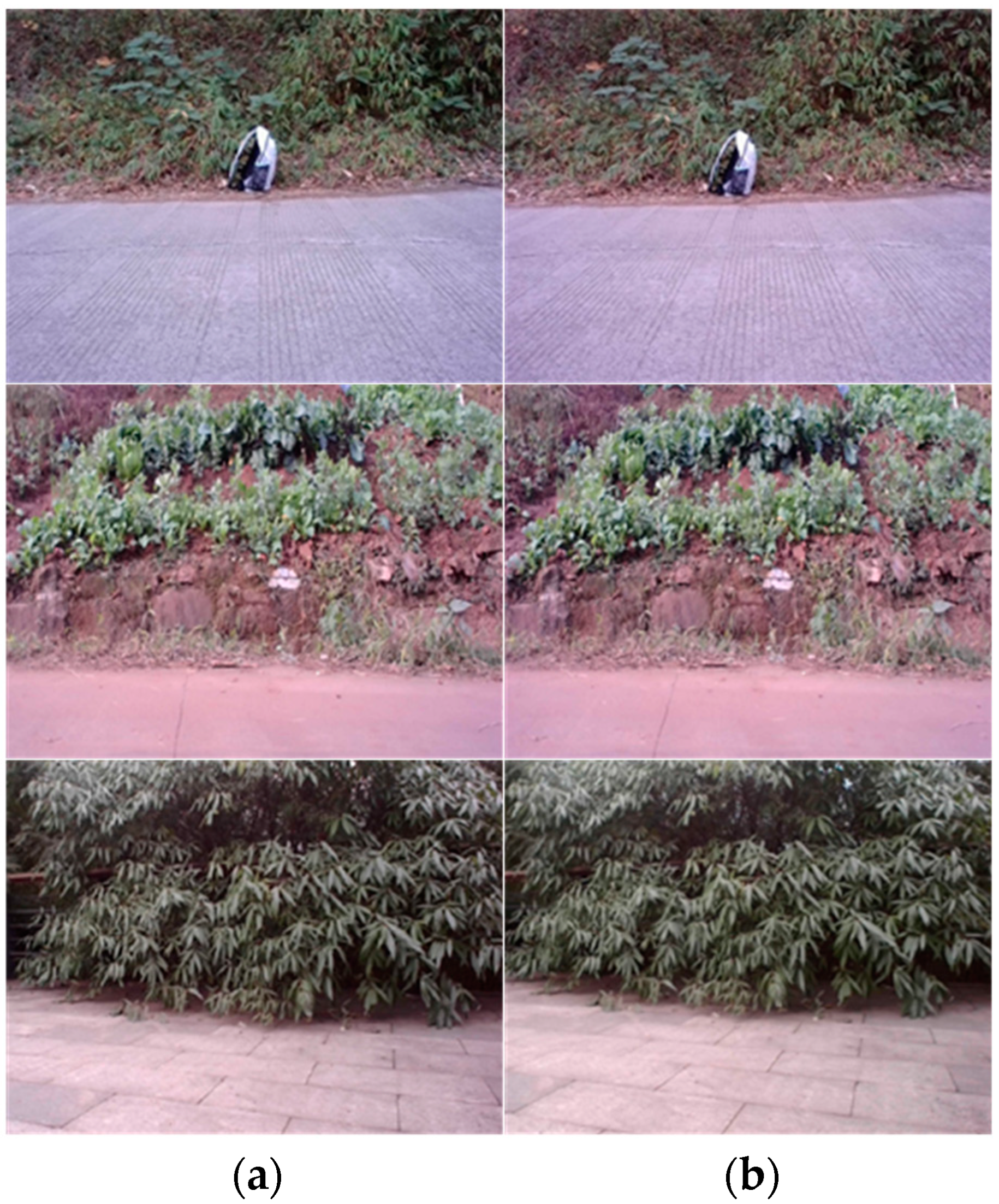 Applsci 13 06407 g010