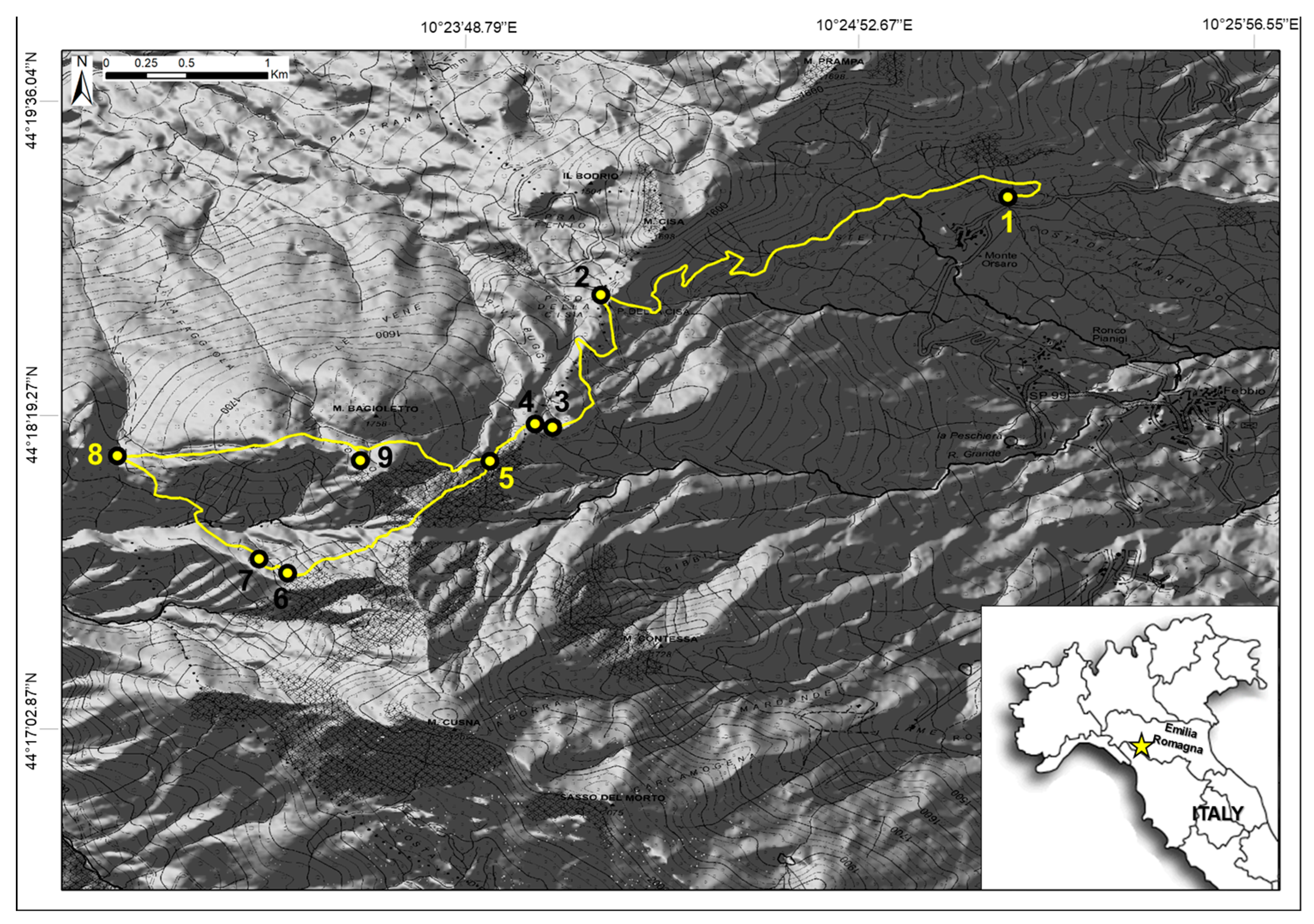 Applsci 13 06420 g001