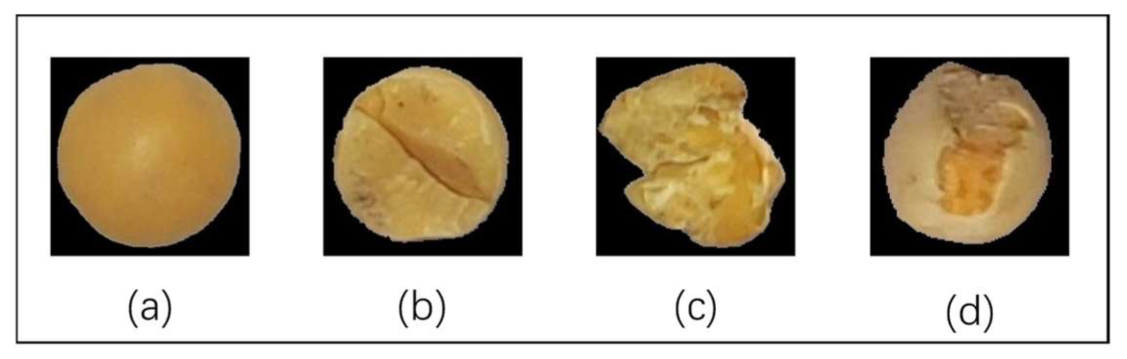 Applsci 13 06425 g002