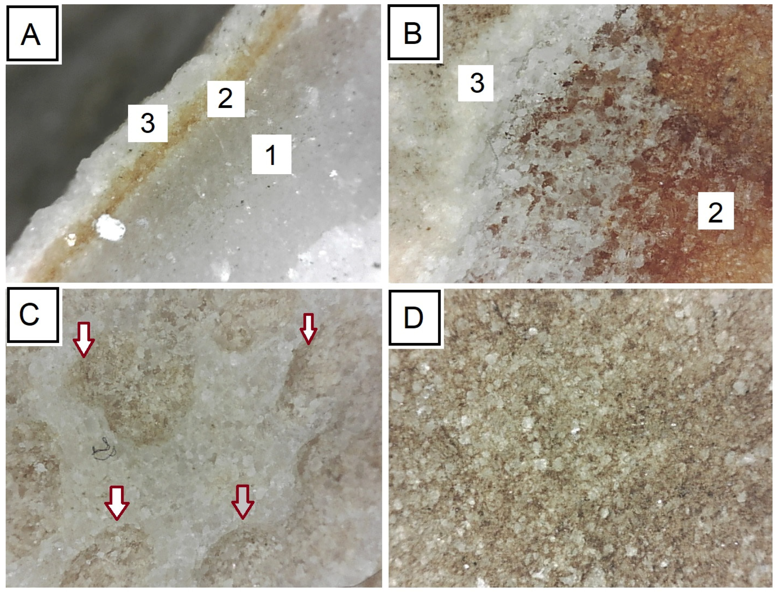 Applsci 13 06426 g002 Applsci 13 06426 g002