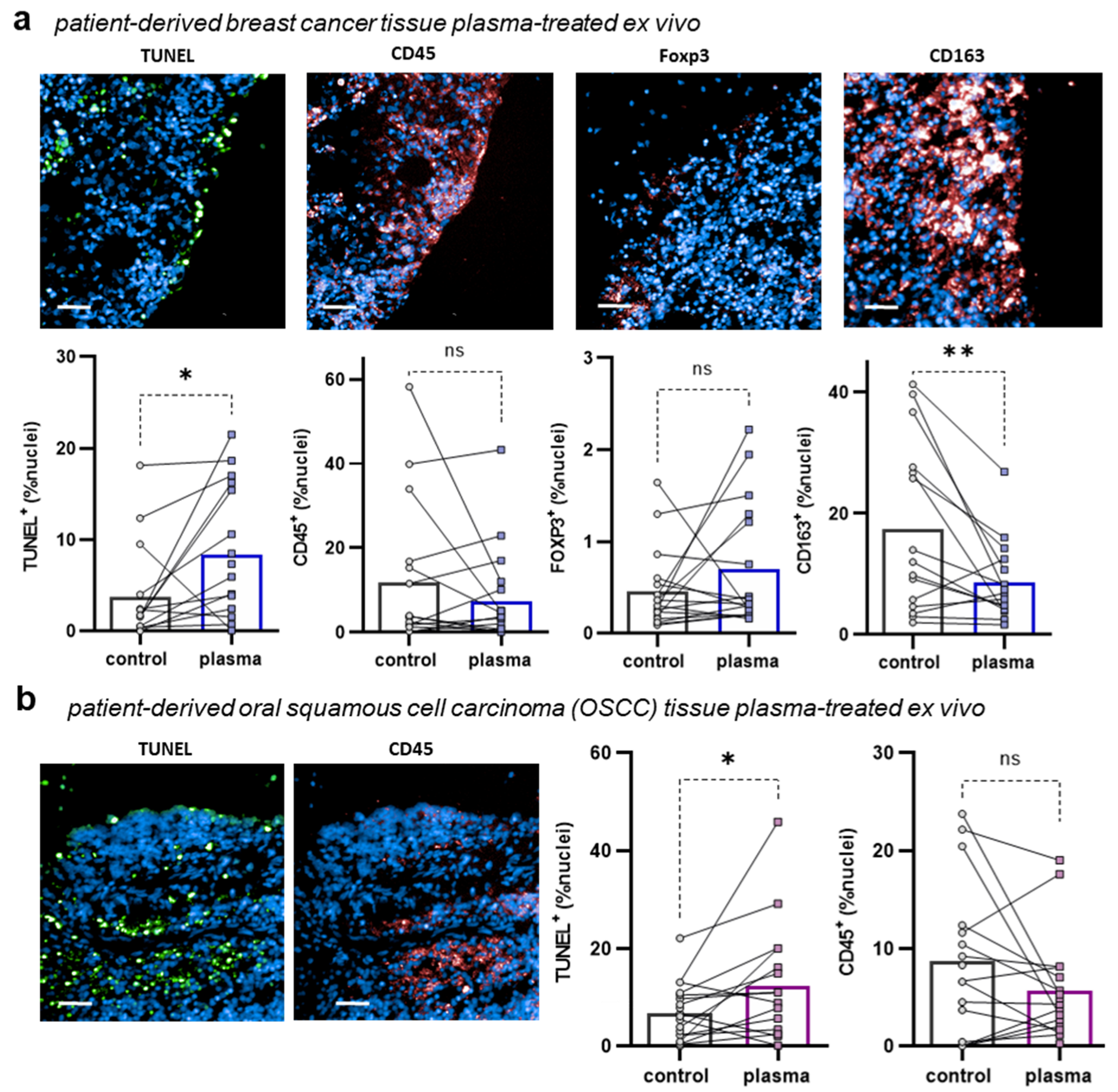 Applsci 13 06472 g003 Applsci 13 06472 g003