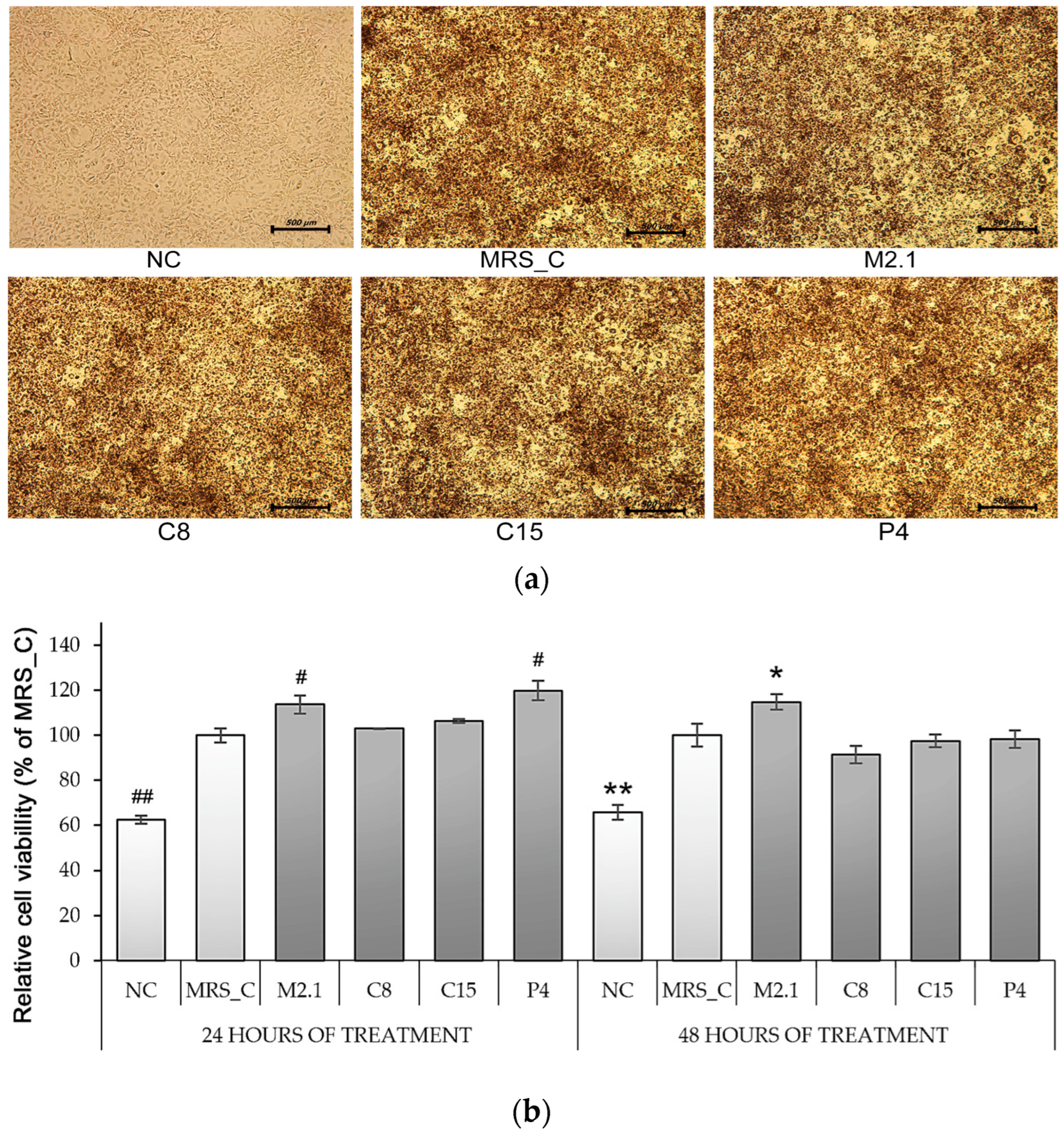 Applsci 13 06489 g001 Applsci 13 06489 g001