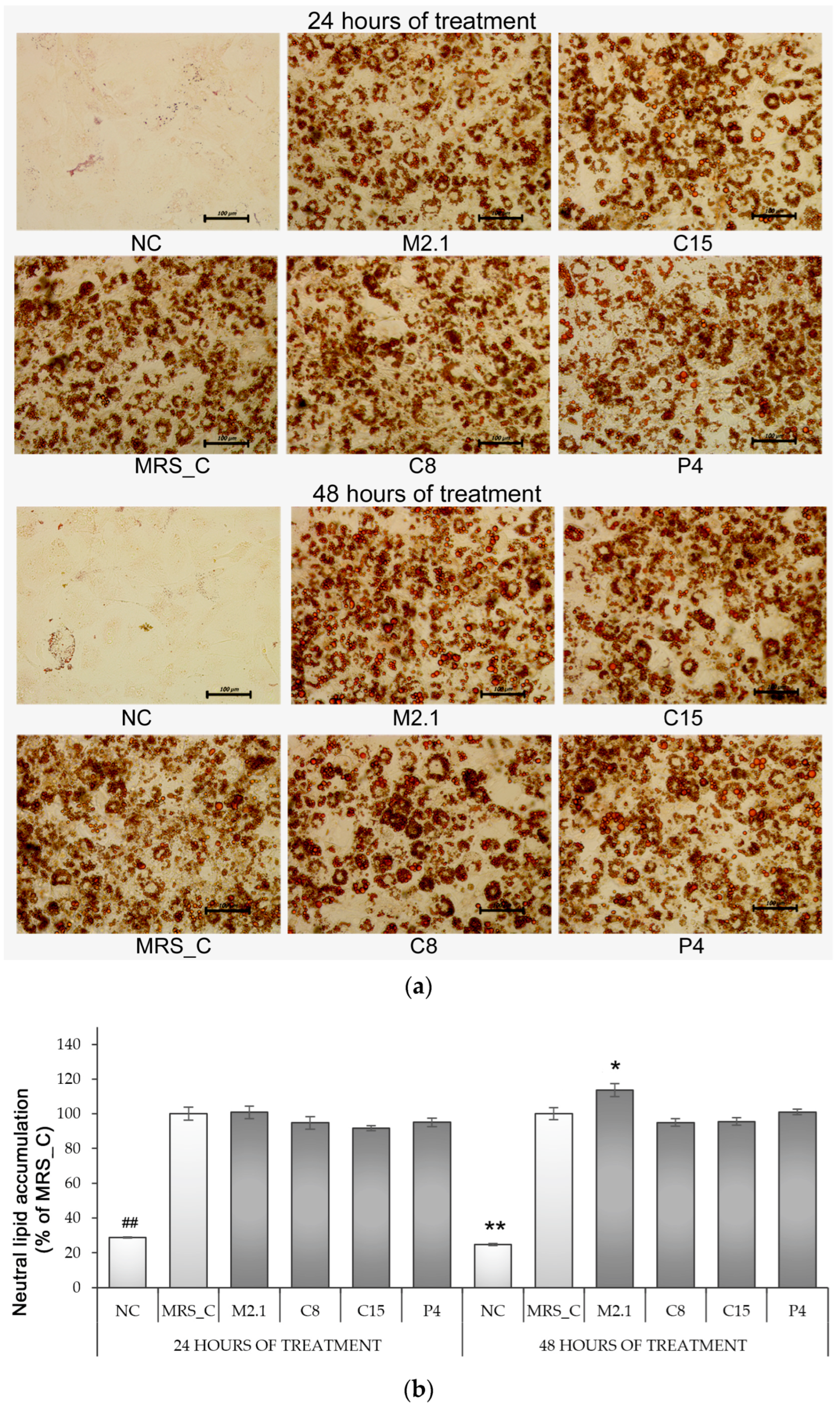 Applsci 13 06489 g002 Applsci 13 06489 g002