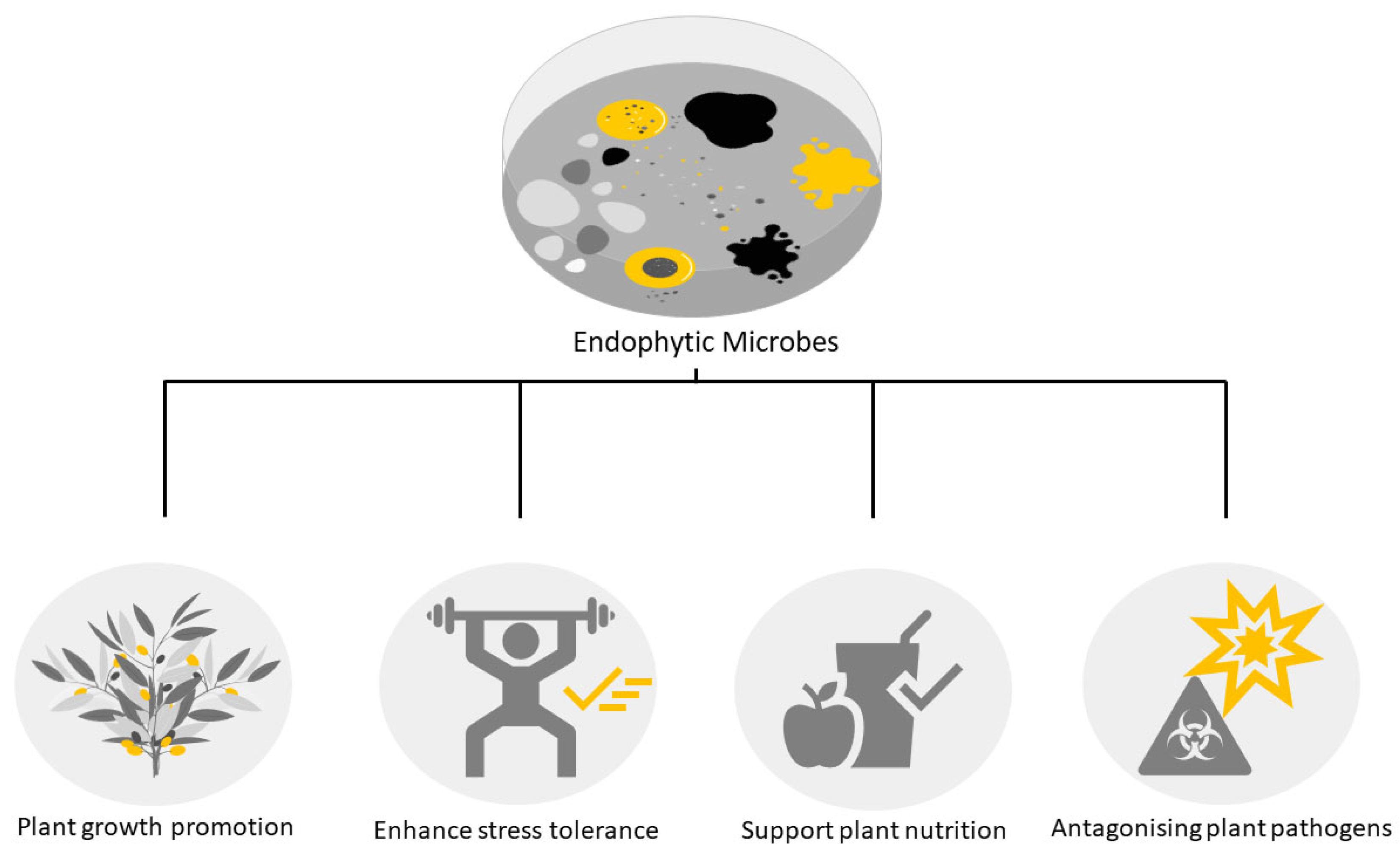 Applsci 13 06507 g001 Applsci 13 06507 g001