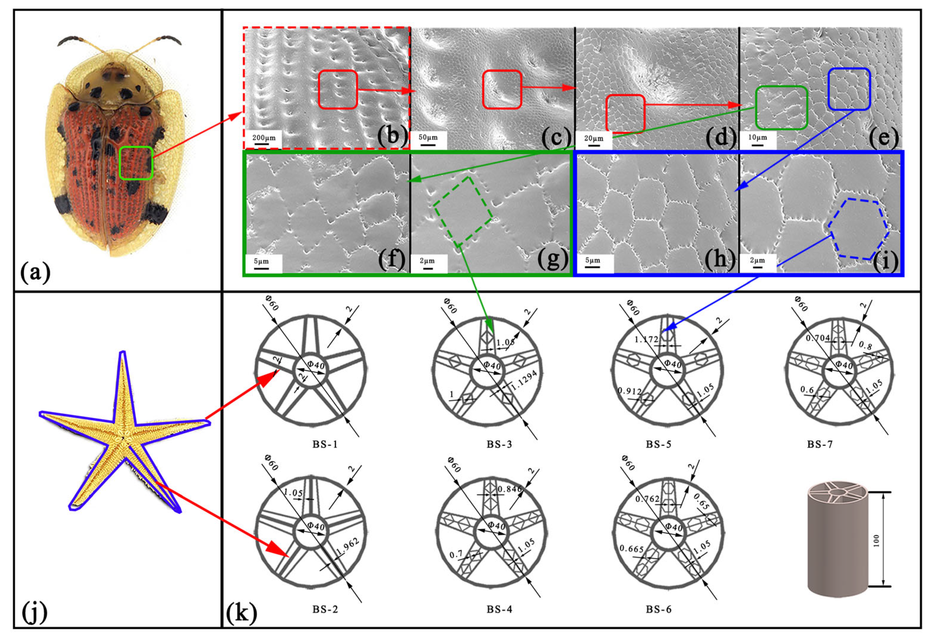 Applsci 13 06519 g001