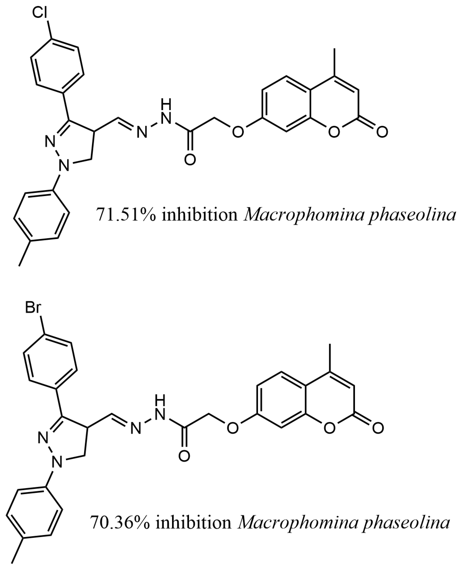 Applsci 13 06535 g007 Applsci 13 06535 g007