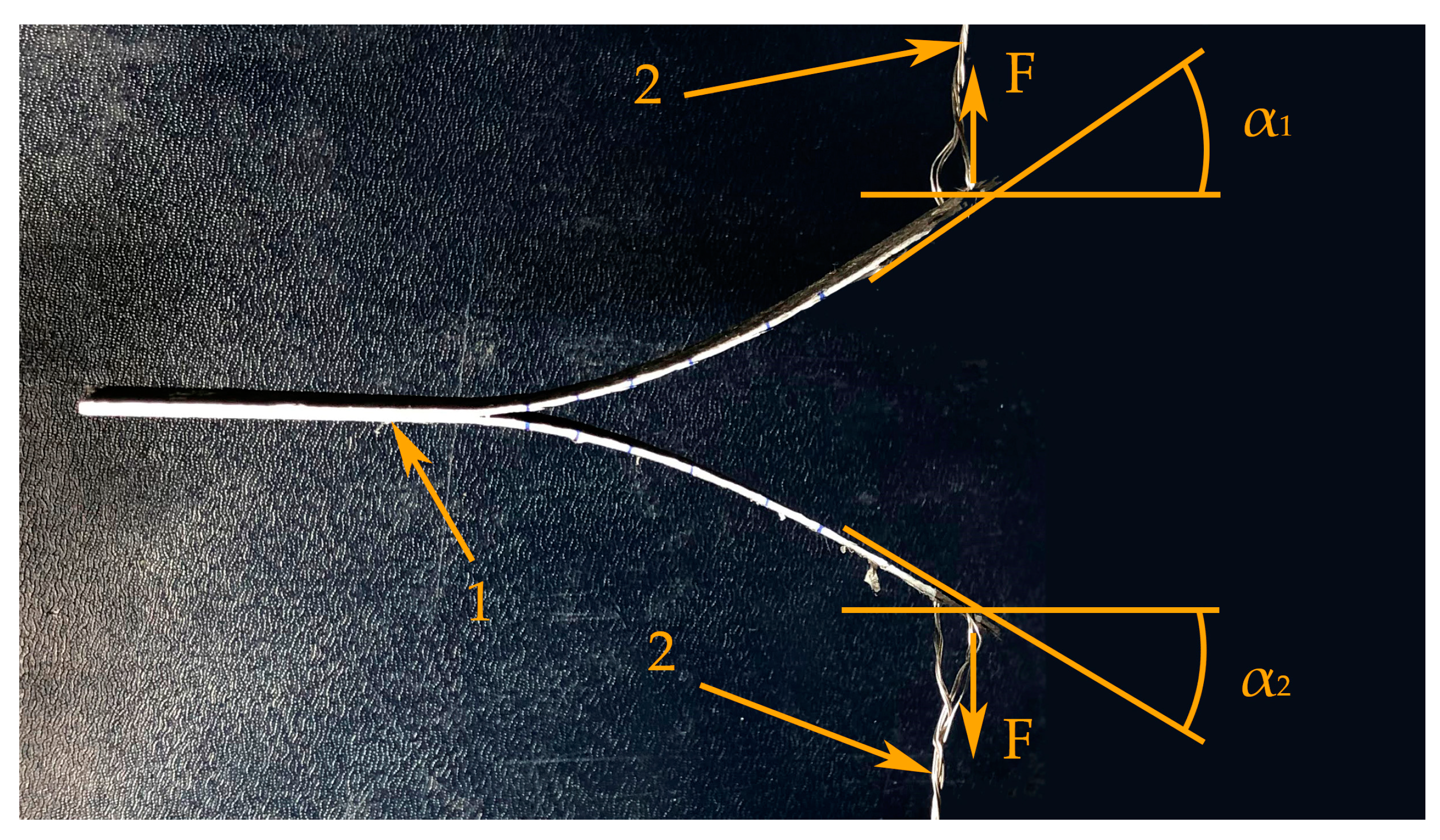 Applsci 13 06557 g002 Applsci 13 06557 g002