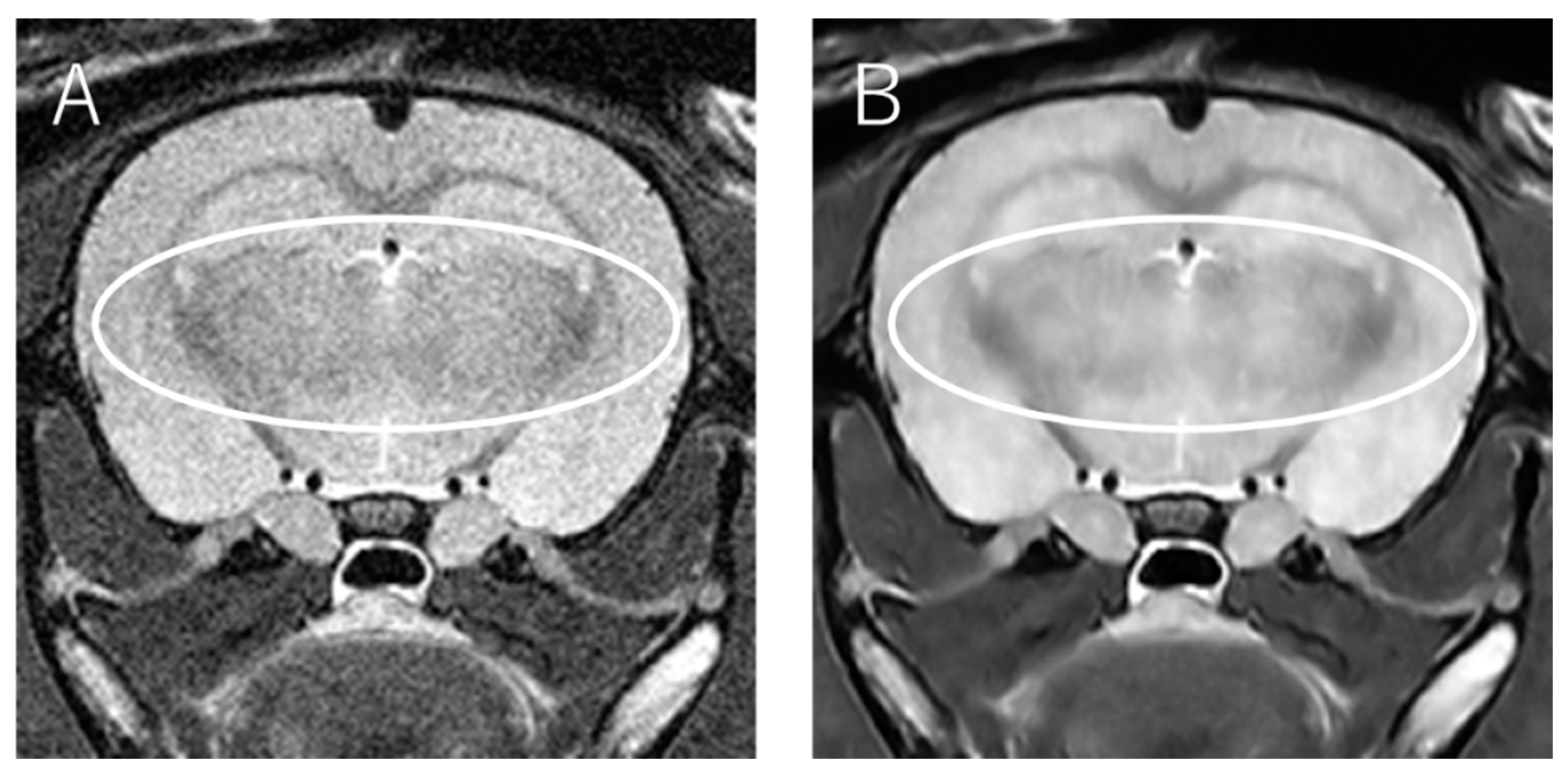 Applsci 13 06567 g005