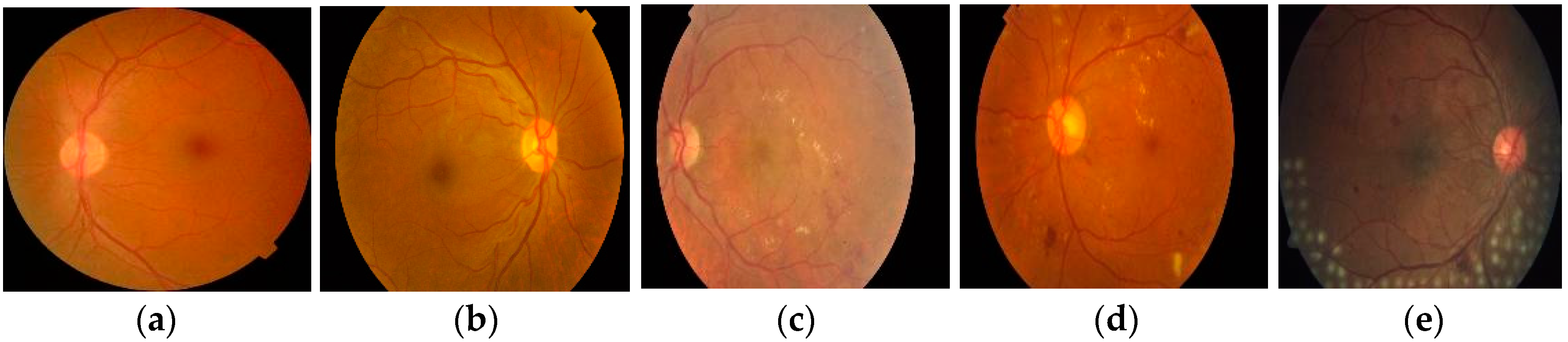 Applsci 13 06569 g001 Applsci 13 06569 g001